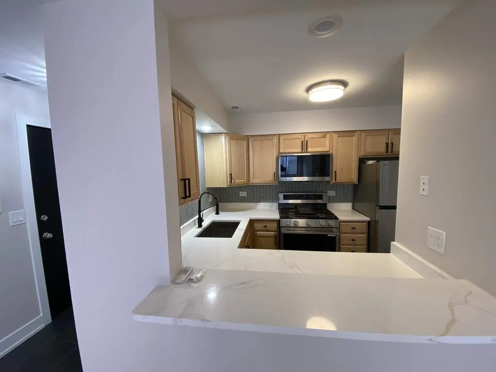 1455 W Fullerton Ave 60614 60614-unit#203-Chicago-IL