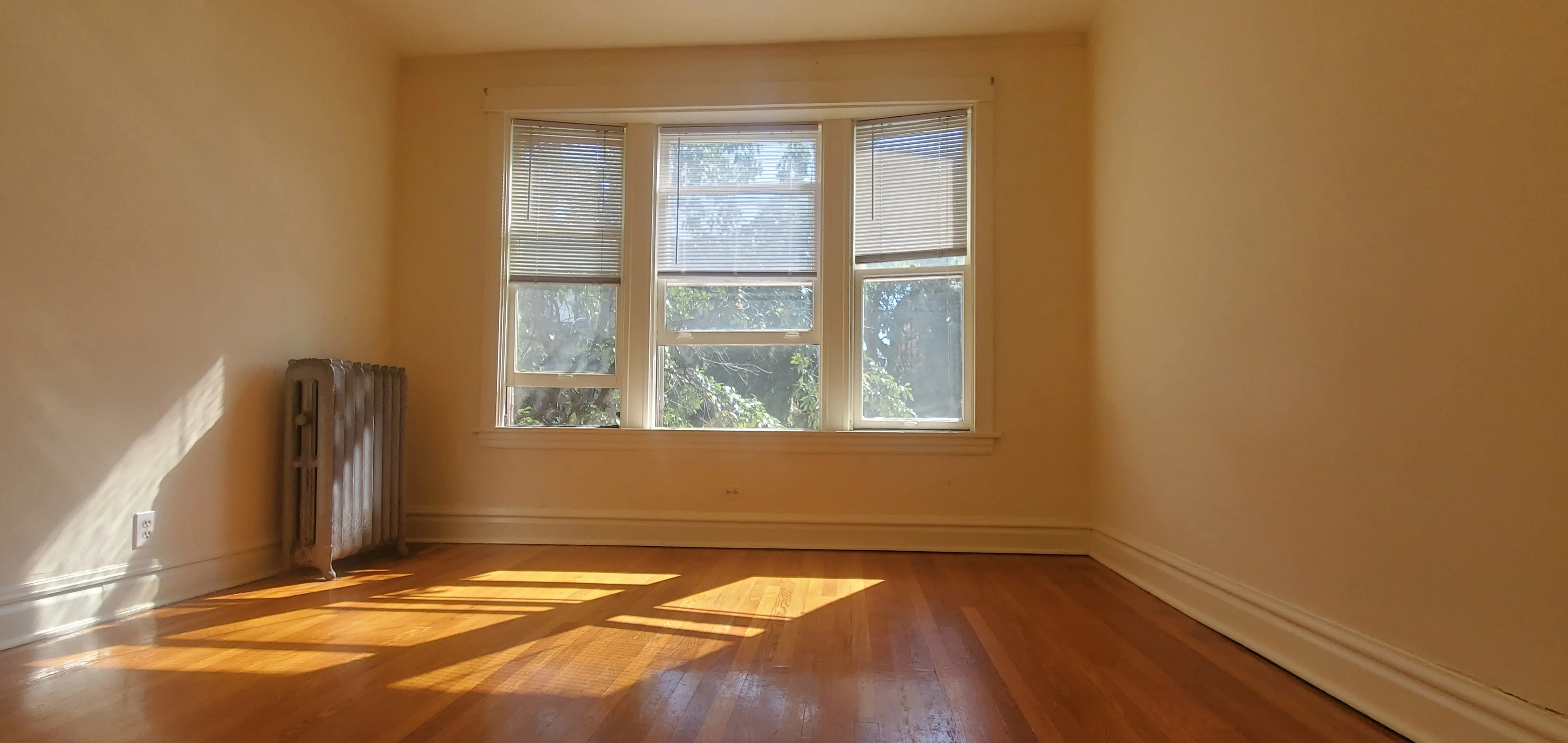 1910 W Wilson Ave 60640 60640-Chicago-IL