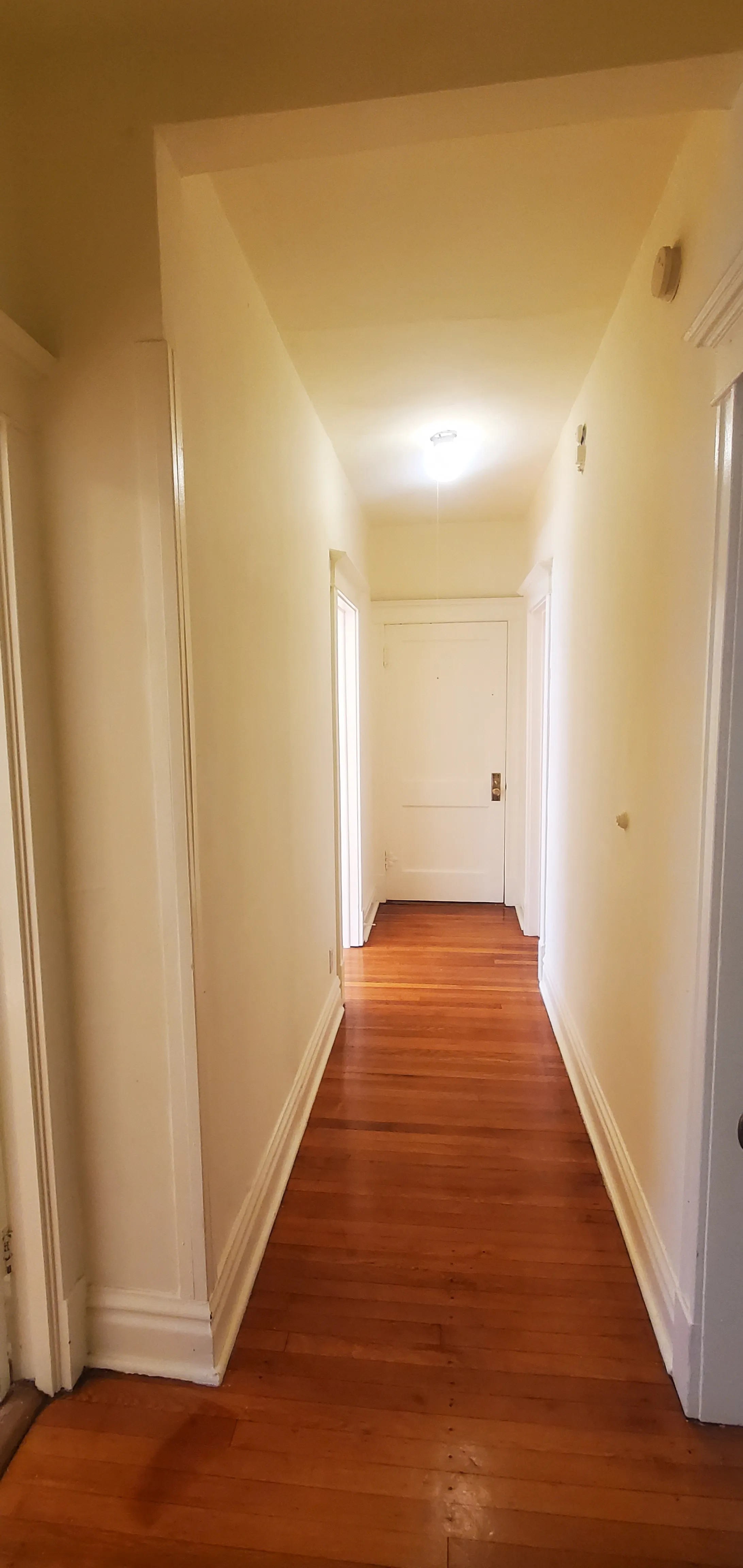 1910 W Wilson Ave 60640 60640-Chicago-IL