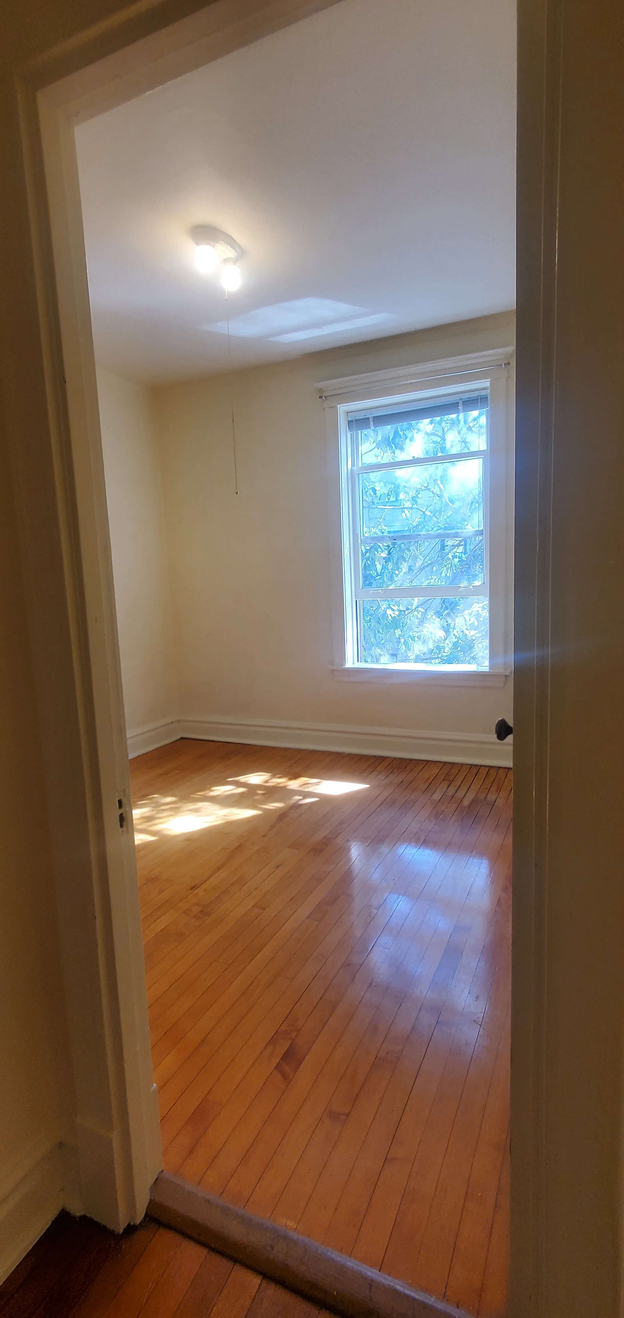 1910 W Wilson Ave 60640 60640-Chicago-IL