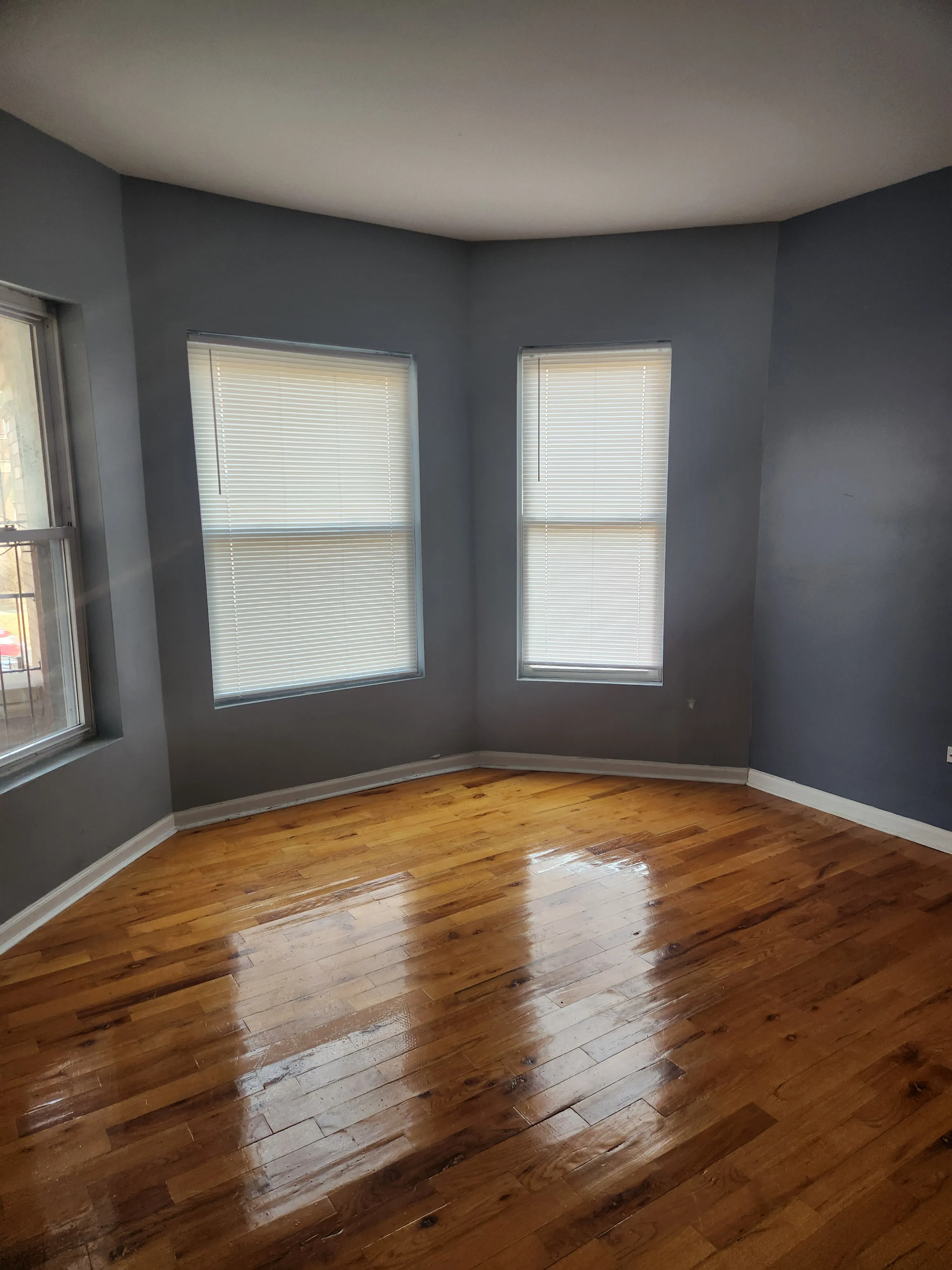 7316 S Emerald Ave 60621 60621-unit#1-Chicago-IL