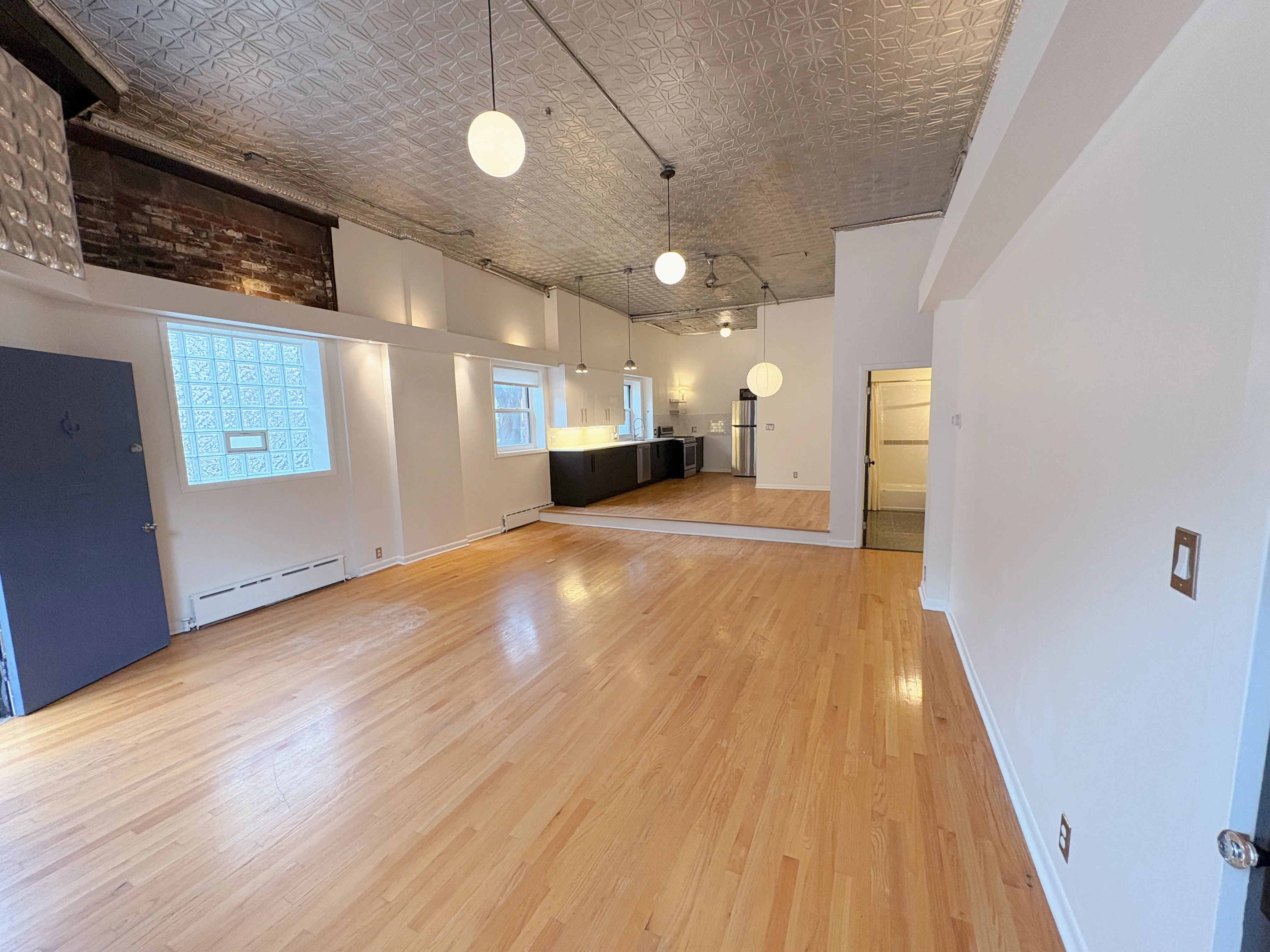 1657 N Monticello Ave 60647 60647-Two-flat-unit#1-Chicago-IL