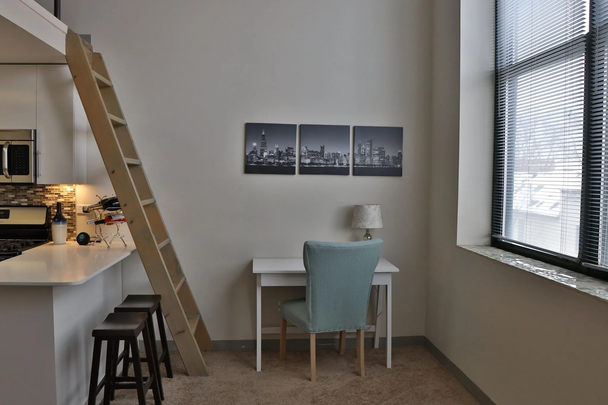 999 W Wolfram St 60657 60657-Sheffield Lofts-unit#308-Chicago-IL