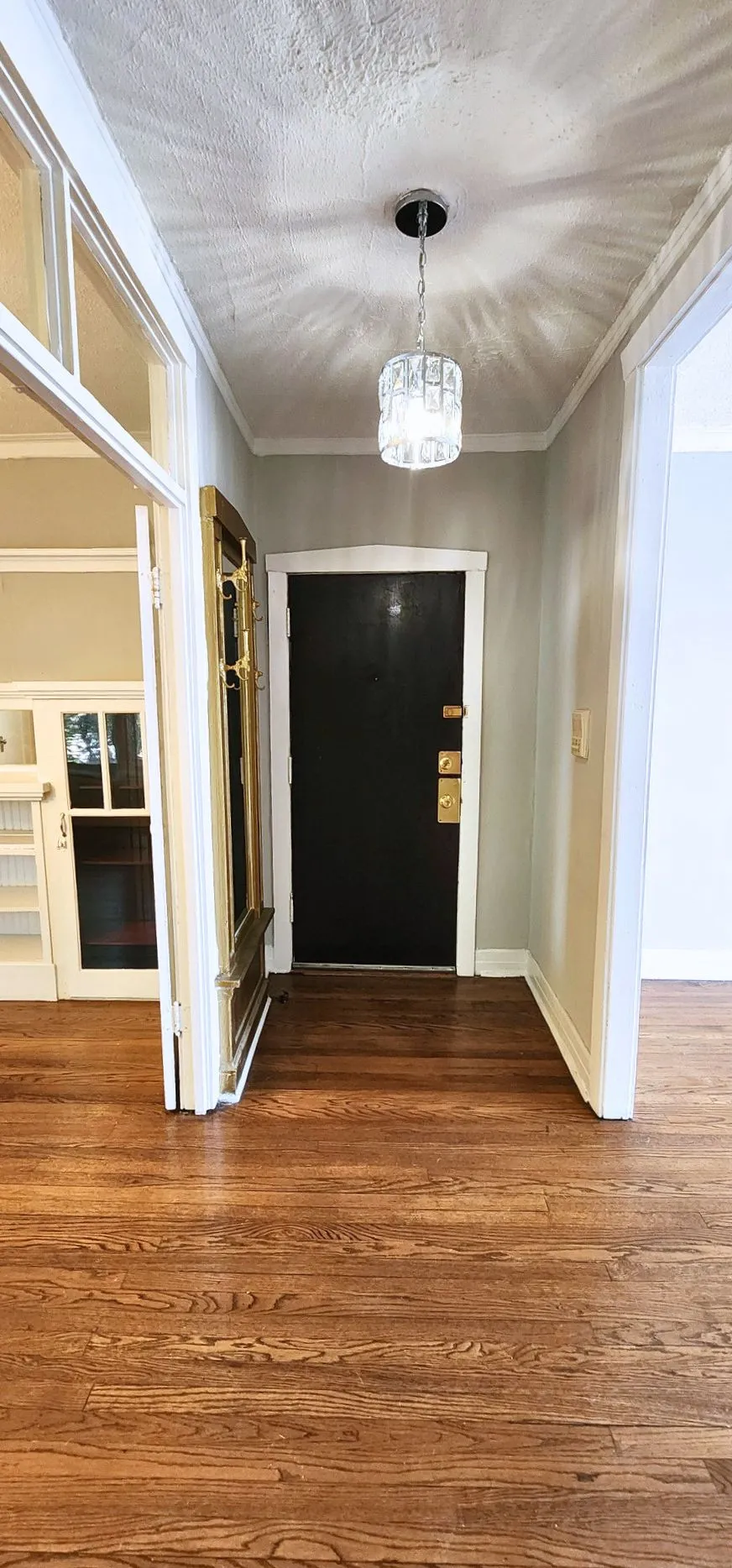 4851 S Evans Ave   60615 60615-Chicago-IL