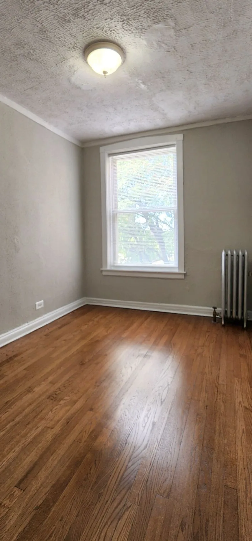 4851 S Evans Ave   60615 60615-Chicago-IL