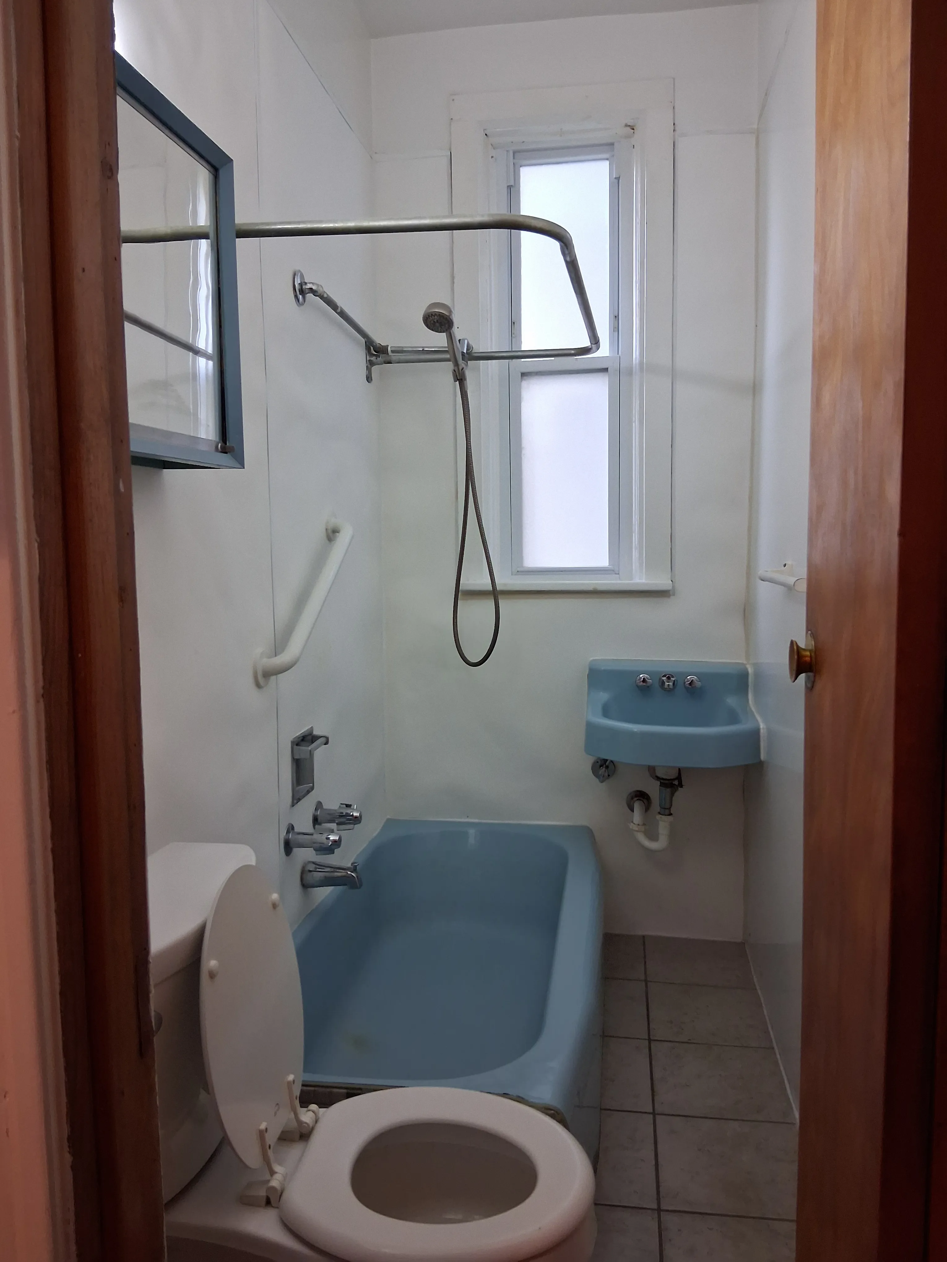 3619 W Wolfram St 60618 60618-Chicago-IL