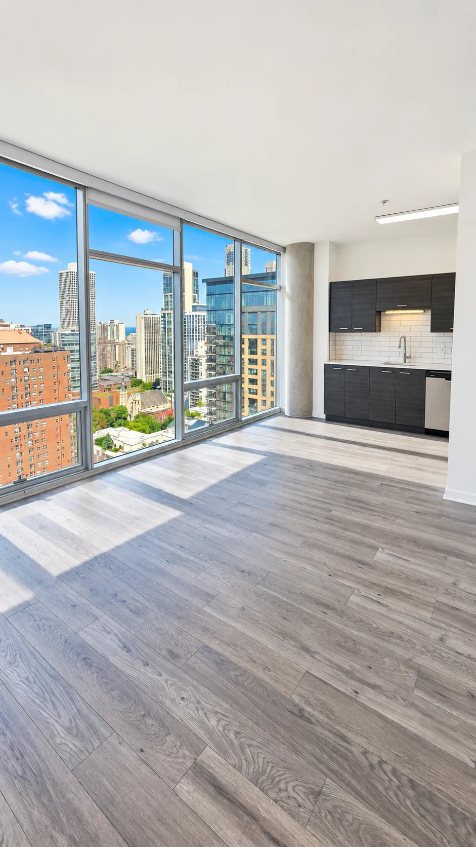 805 N La Salle Dr 60610 60610-unit#404-Chicago-IL