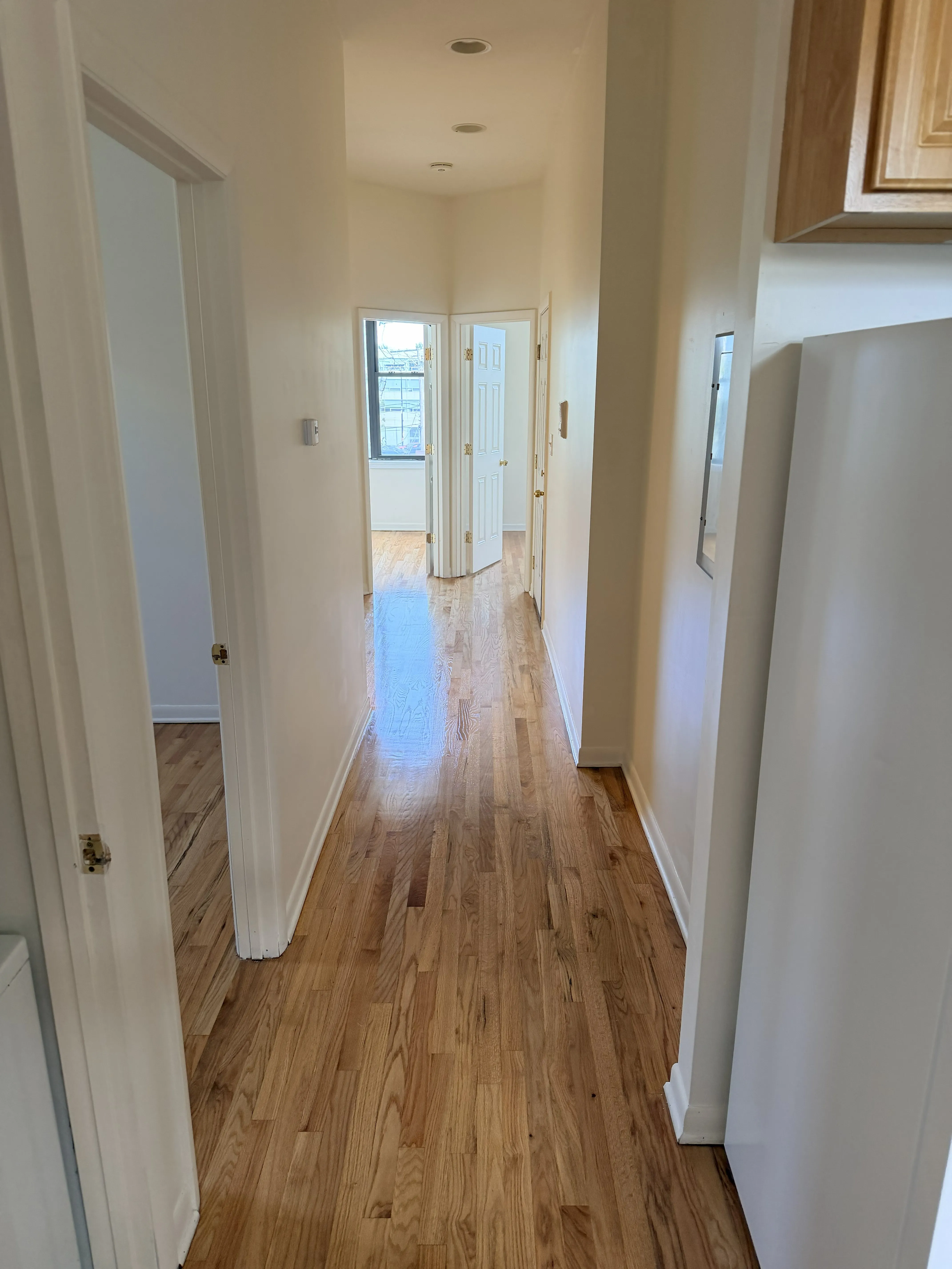 1146 S Mozart St 60612 60612-Douglas Park View-unit#3-Chicago-IL