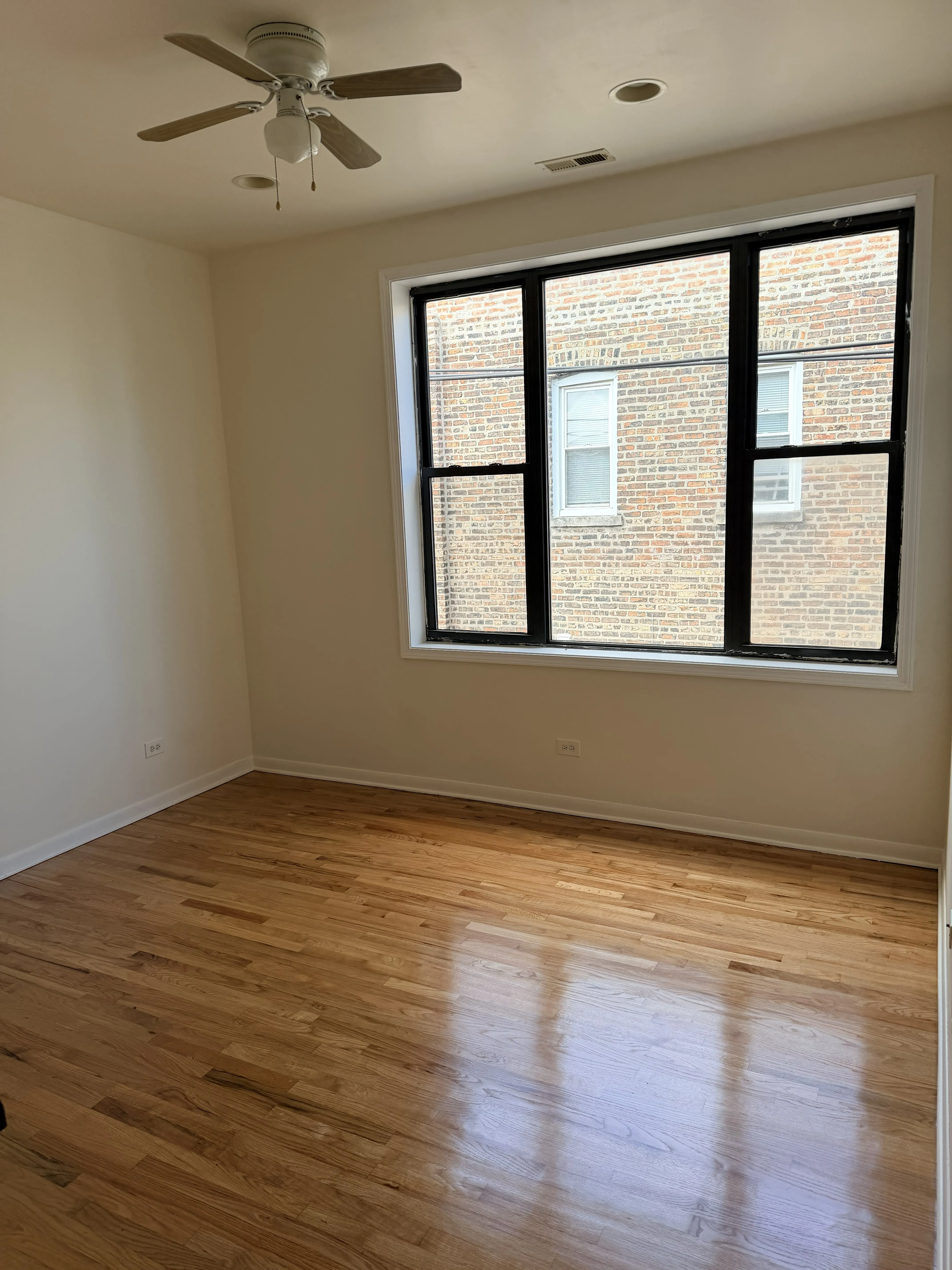 1146 S Mozart St   60612 60612-Douglas Park View-unit#3-Chicago-IL