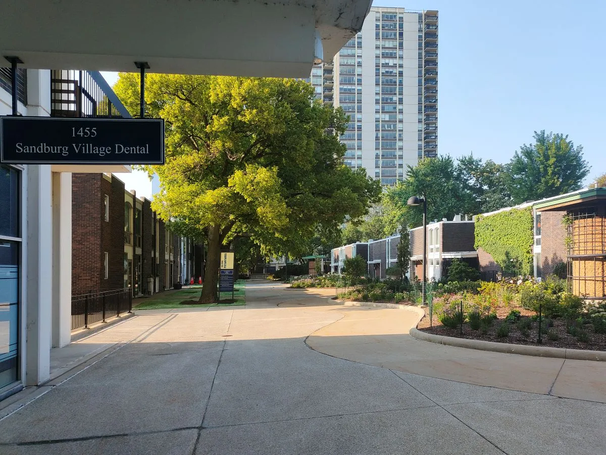 1455 N Sandburg Terrace   60610 60610-unit#404-Chicago-IL