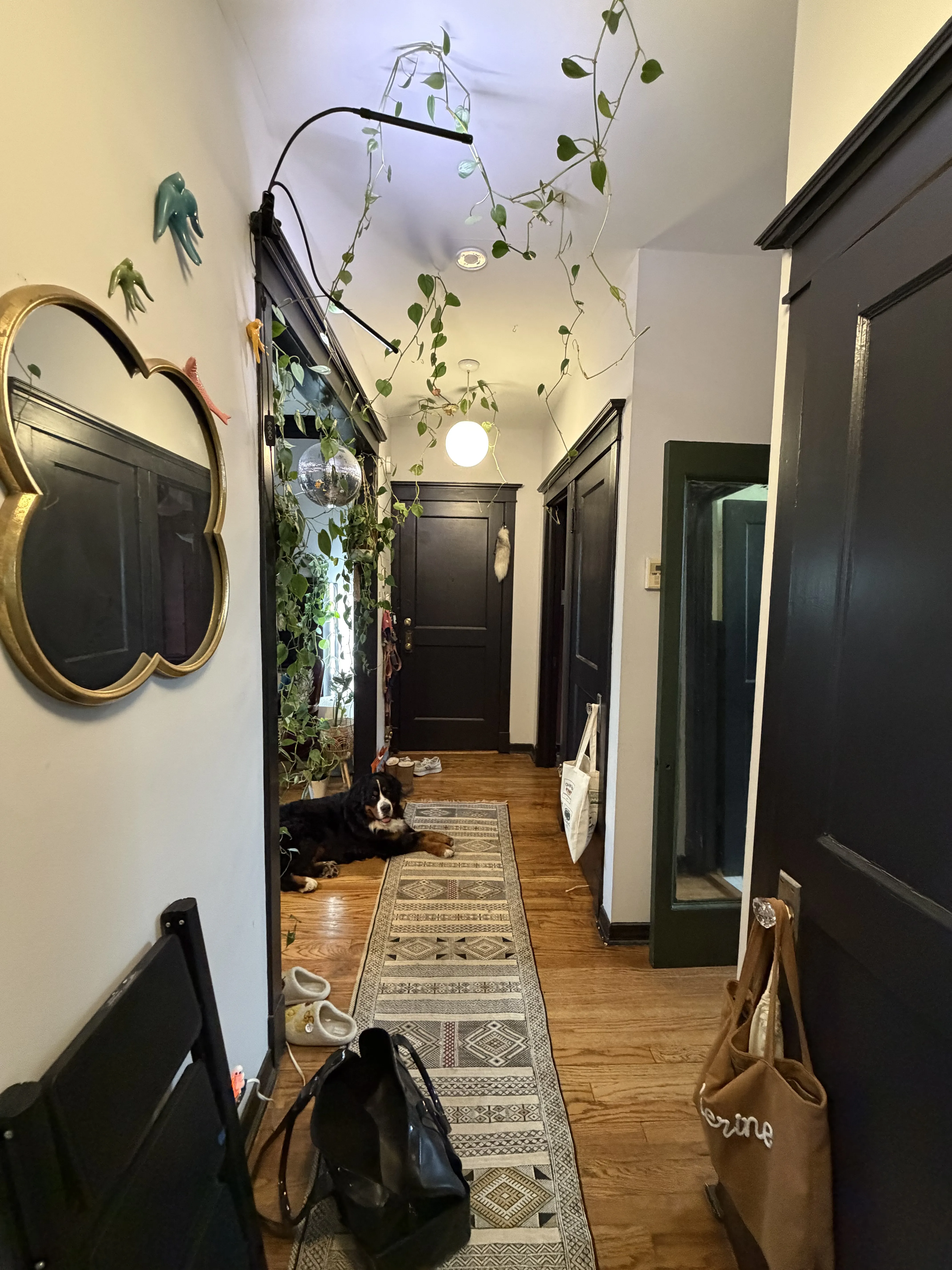 4454 N Beacon St 60640-unit#3-Chicago-IL