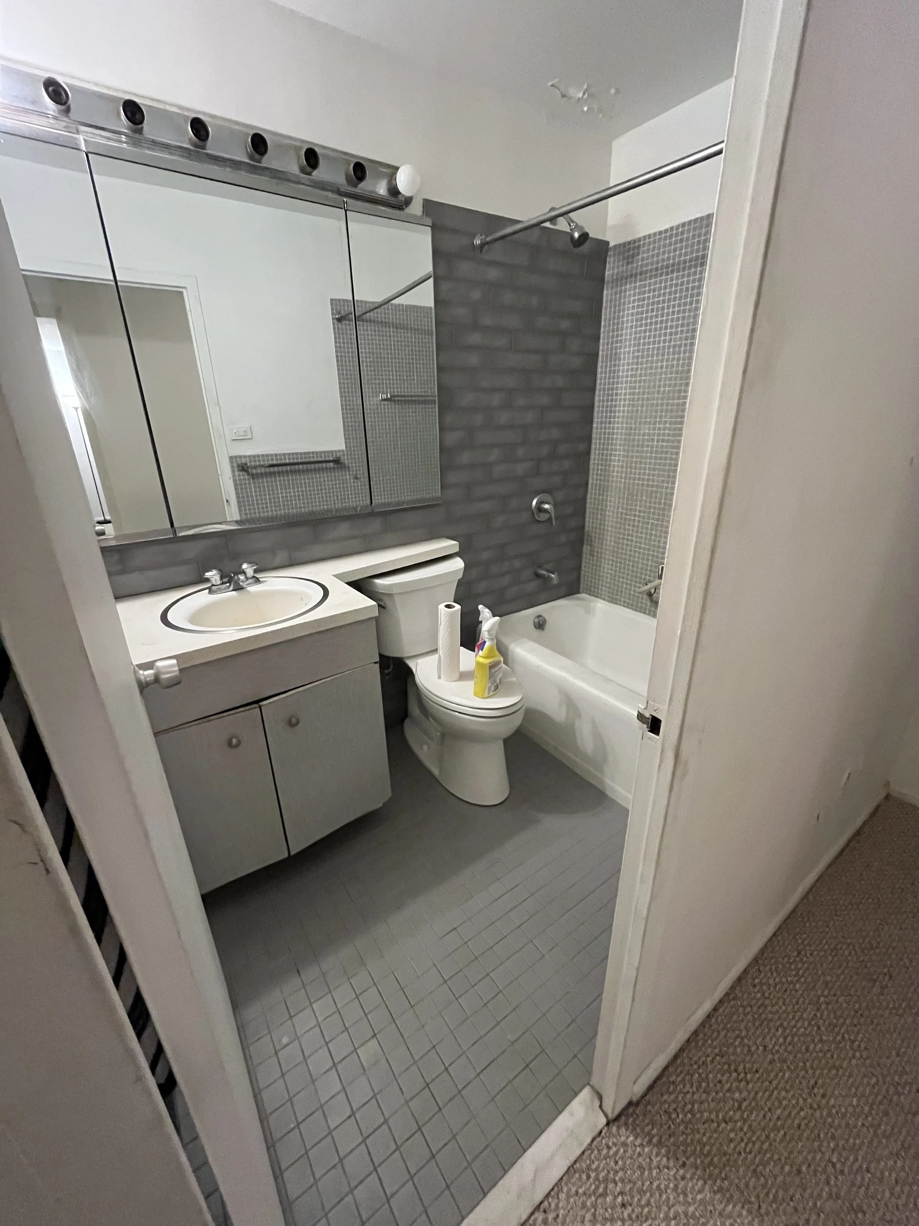 3600 N Lake Shore Dr 60613 60613-unit#1525-Chicago-IL