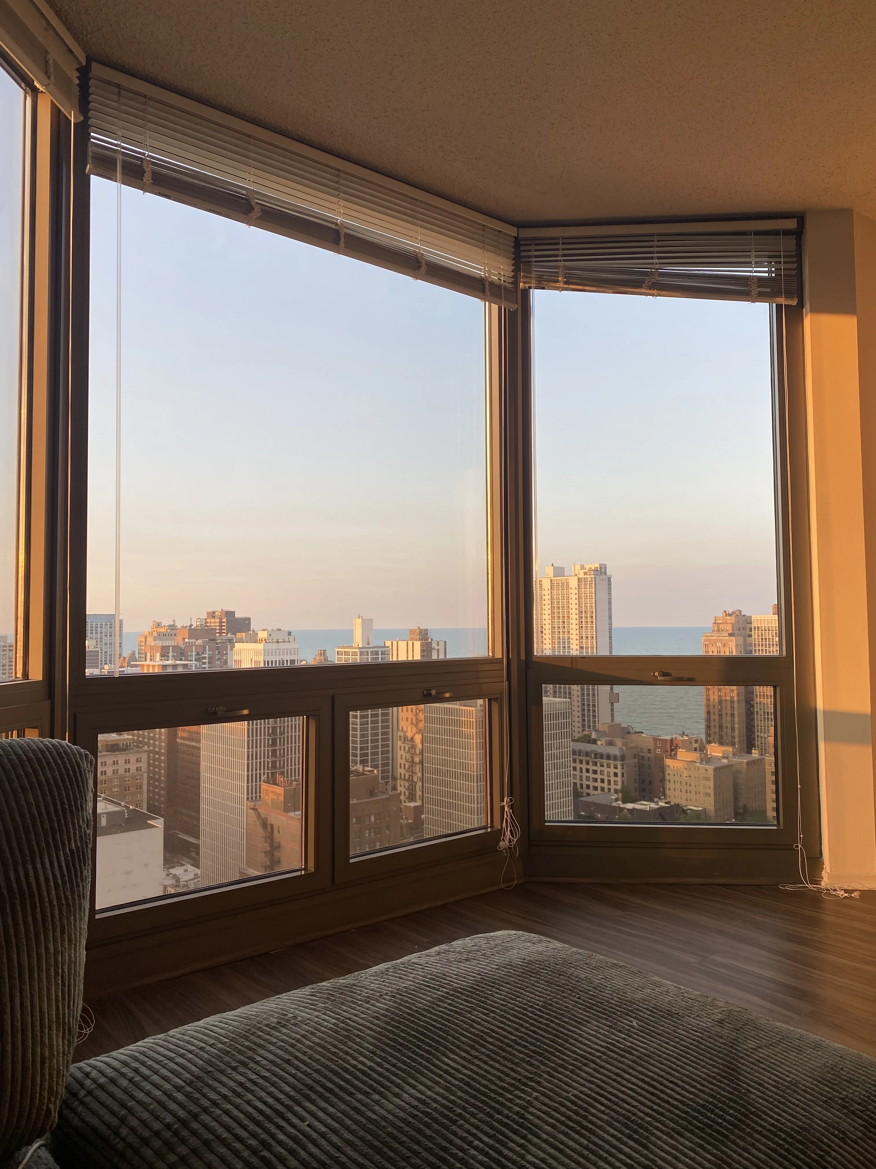 1130 N Dearborn St   60610 60610-Elm Street Plaza-unit#3304-Chicago-IL