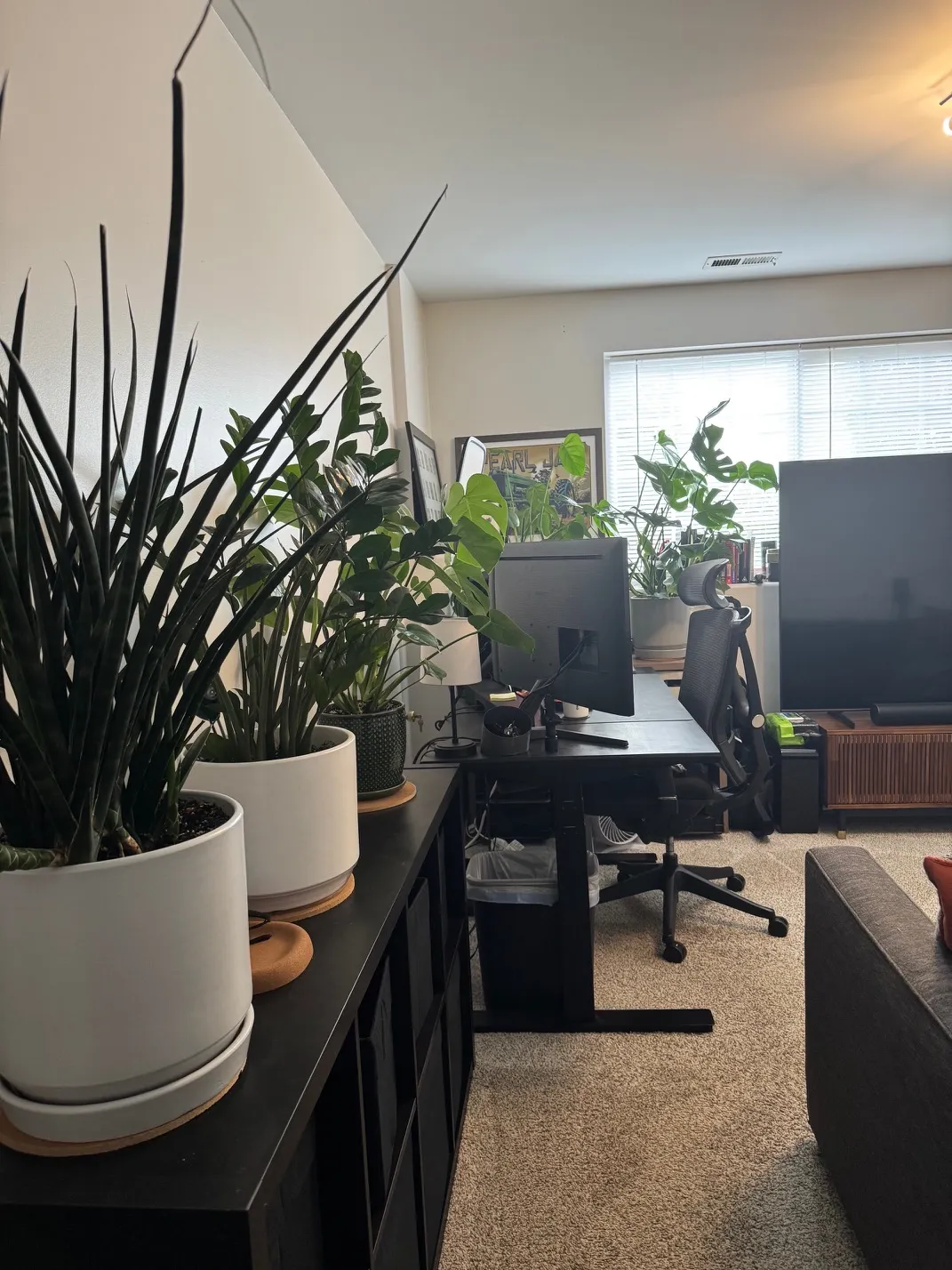 172 E River Rd 60016 60016-unit#B-Des Plaines-IL