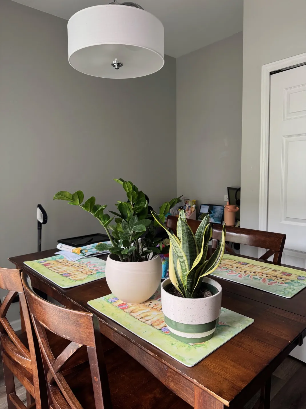 172 E River Rd 60016 60016-unit#B-Des Plaines-IL