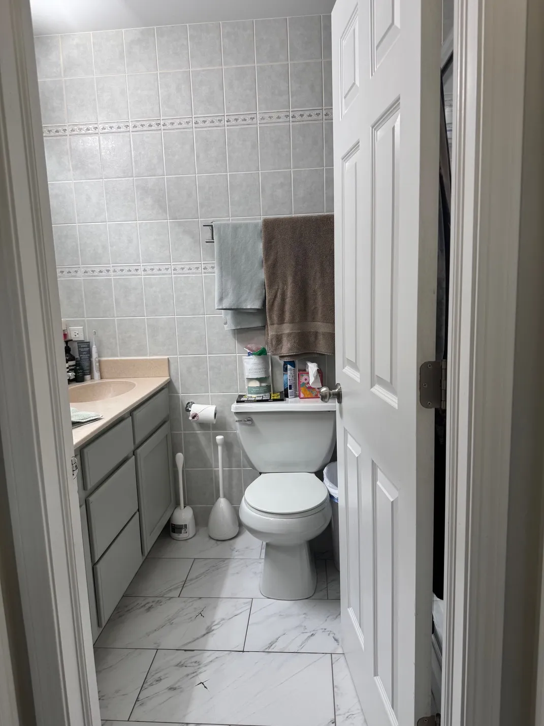 172 E River Rd 60016 60016-unit#B-Des Plaines-IL