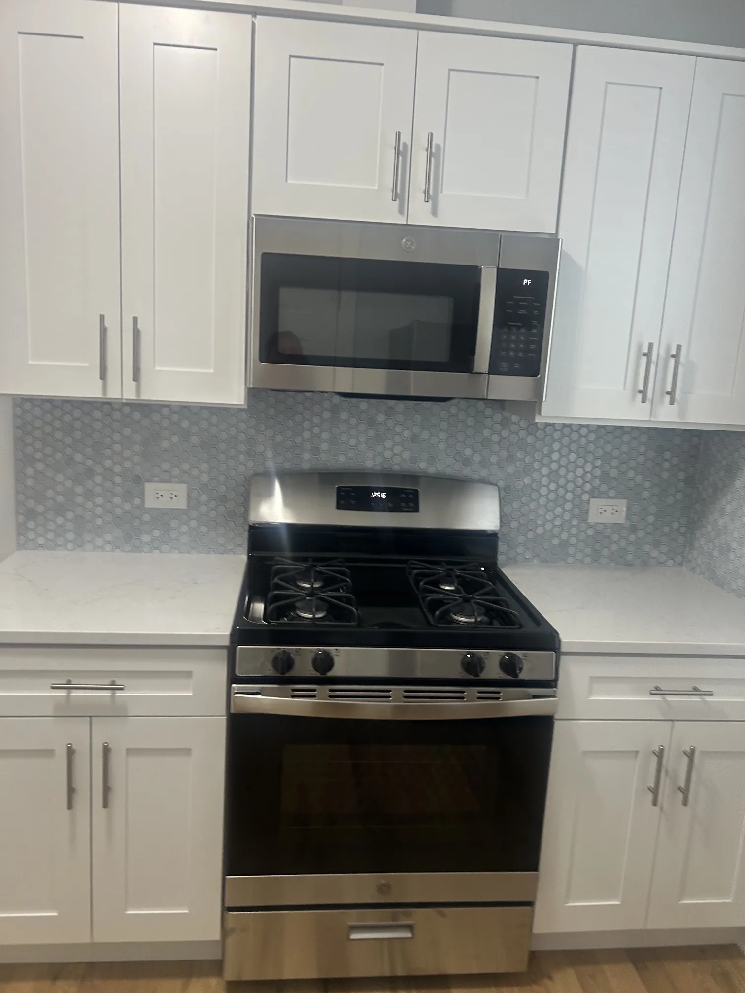 1014 S Humphrey Ave 60304 60304-unit#2N-Oak Park-IL
