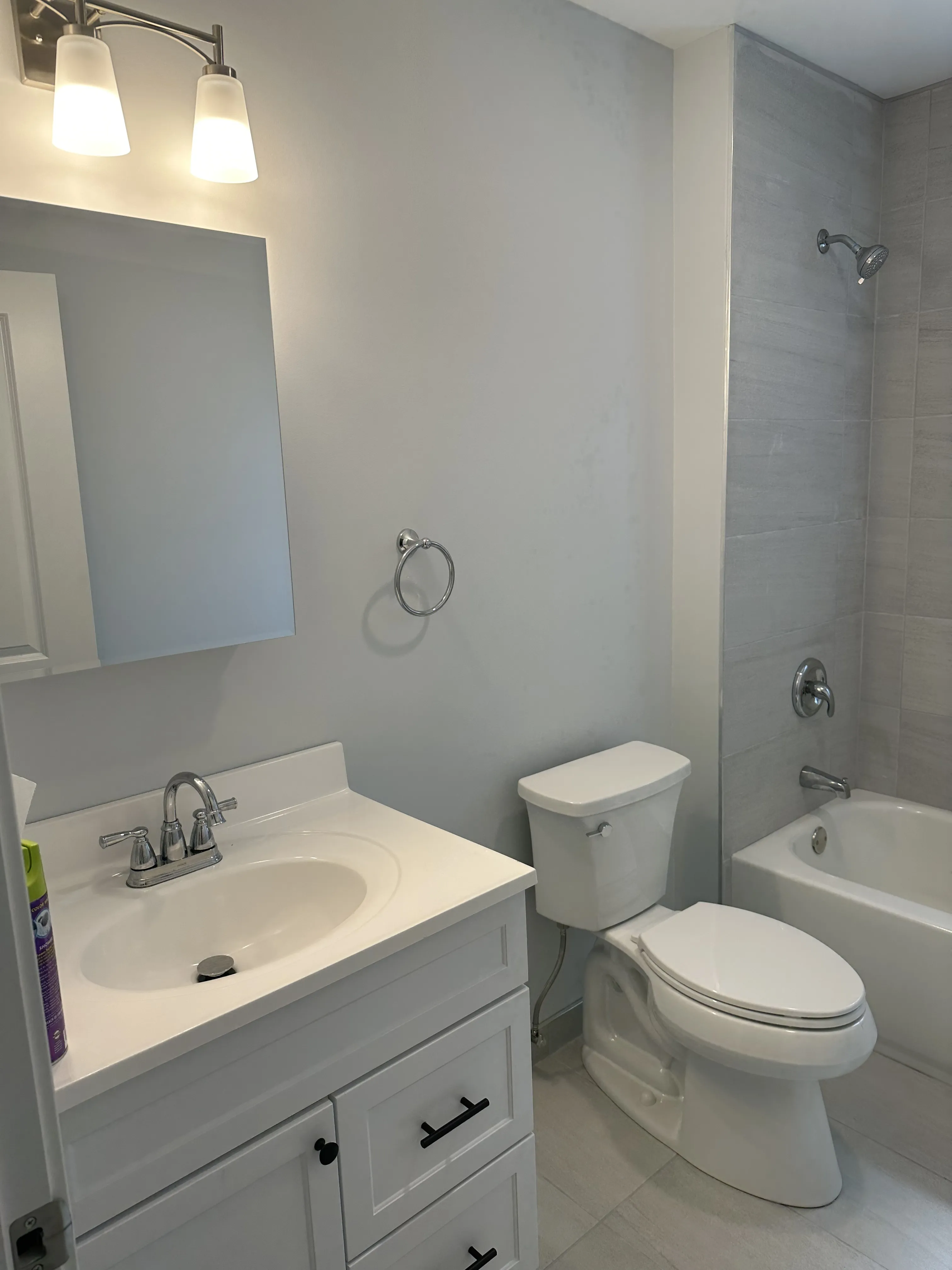 1014 S Humphrey Ave 60304 60304-unit#2N-Oak Park-IL