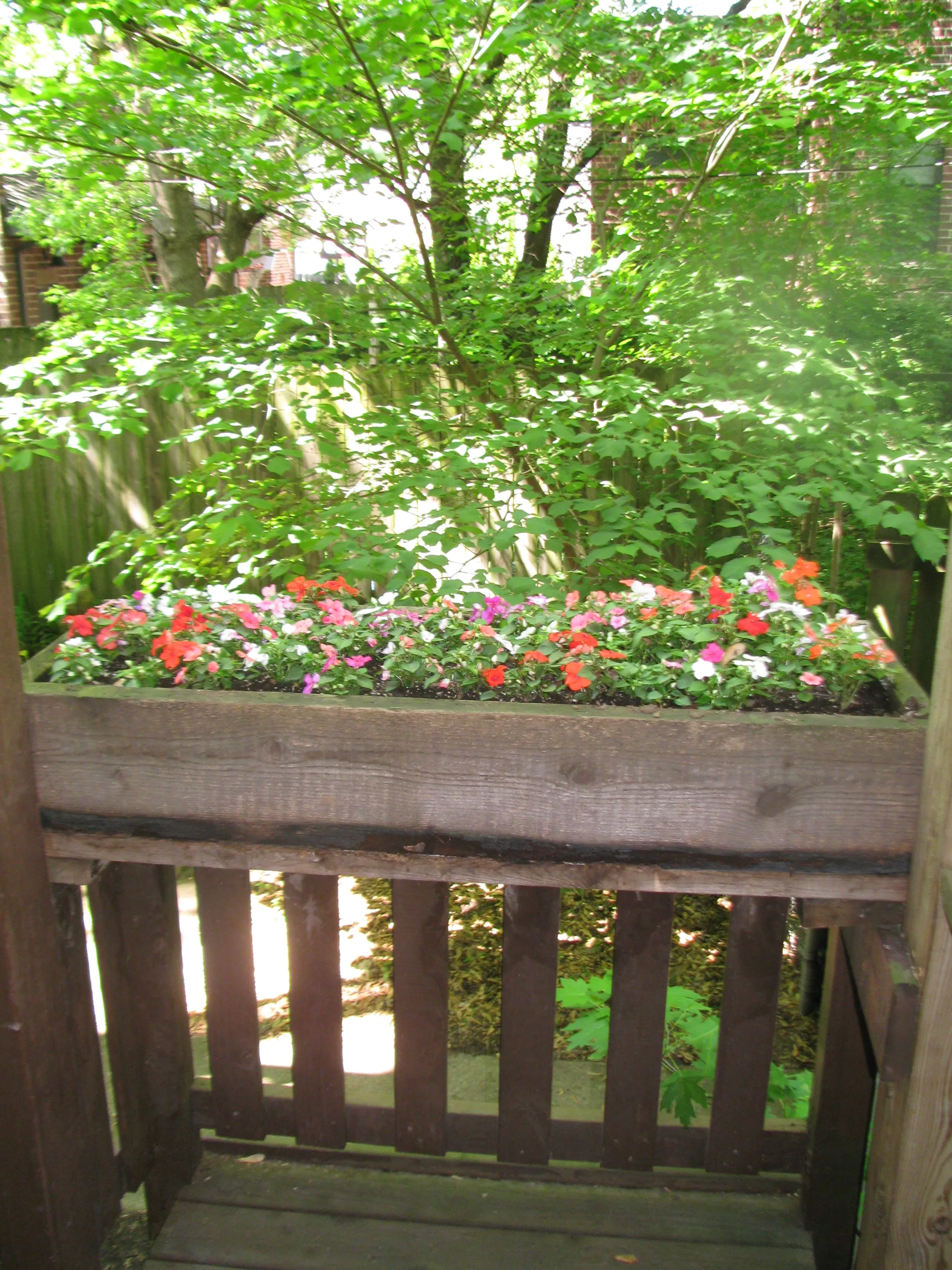 1910 W Wilson Ave 60640 60640-Chicago-IL