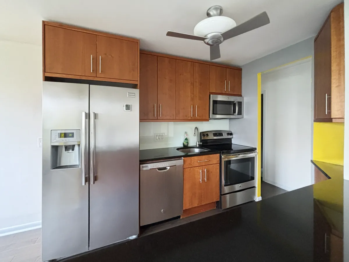 1455 N Sandburg Terrace   60610 60610-unit#404-Chicago-IL