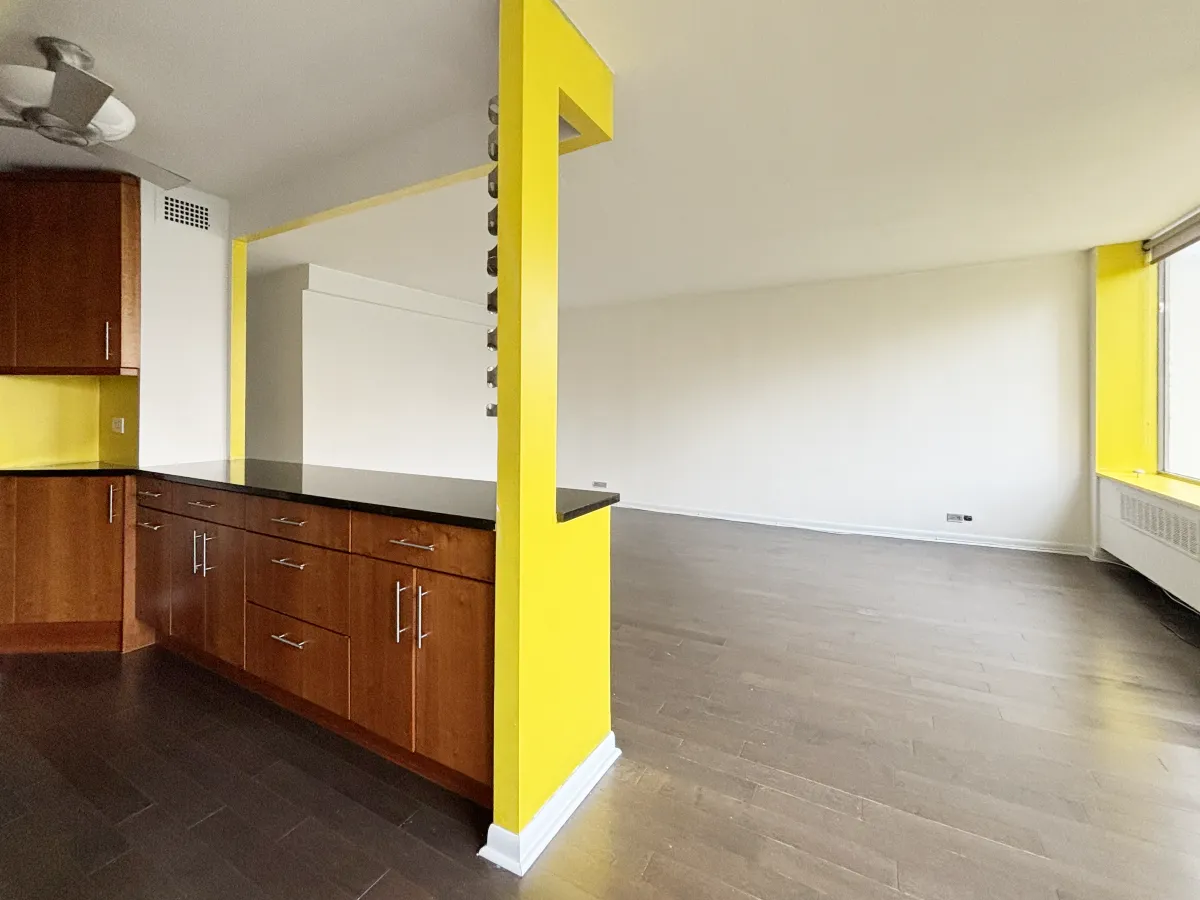 1455 N Sandburg Terrace   60610 60610-unit#404-Chicago-IL
