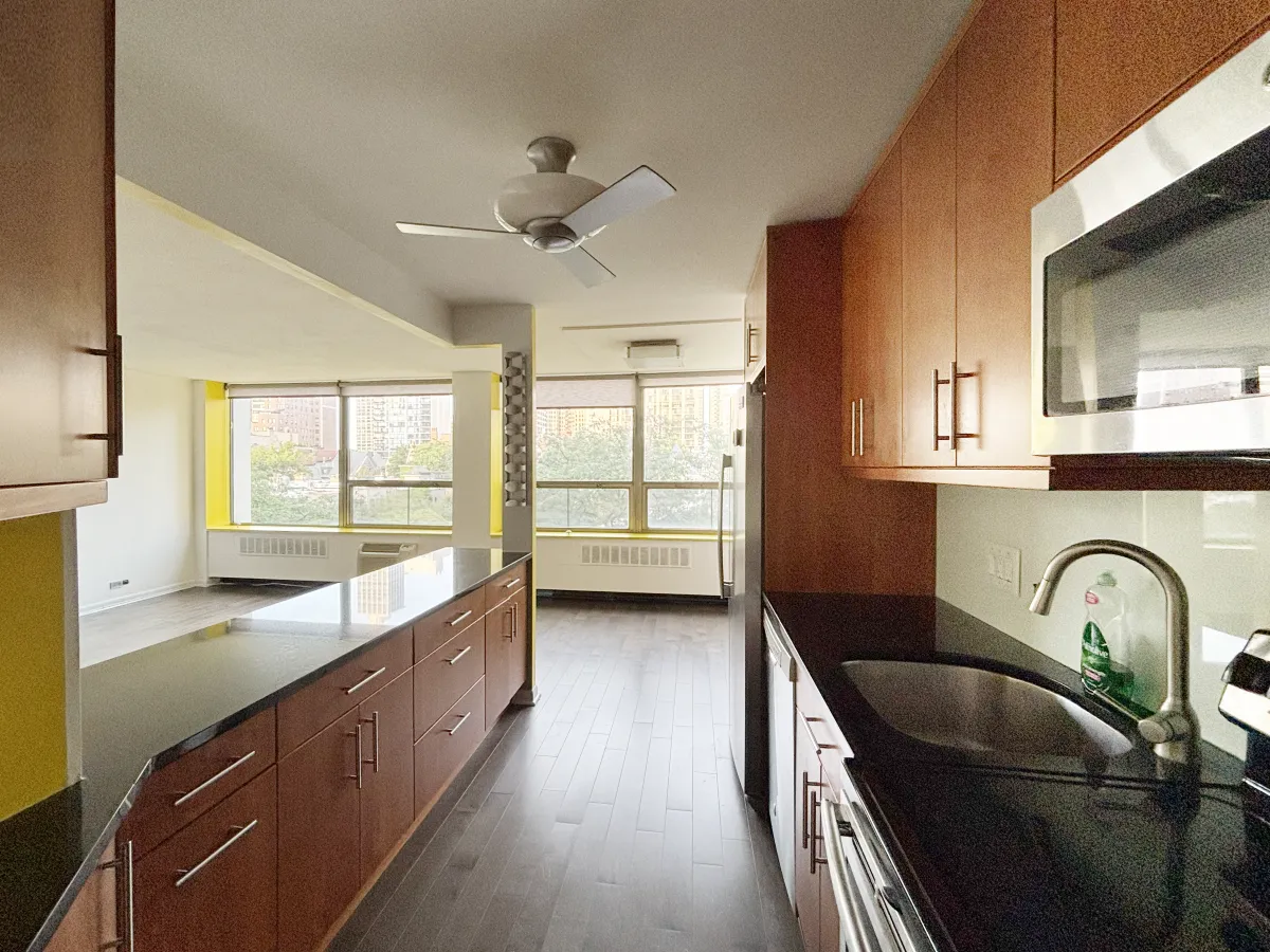 1455 N Sandburg Terrace   60610 60610-unit#404-Chicago-IL