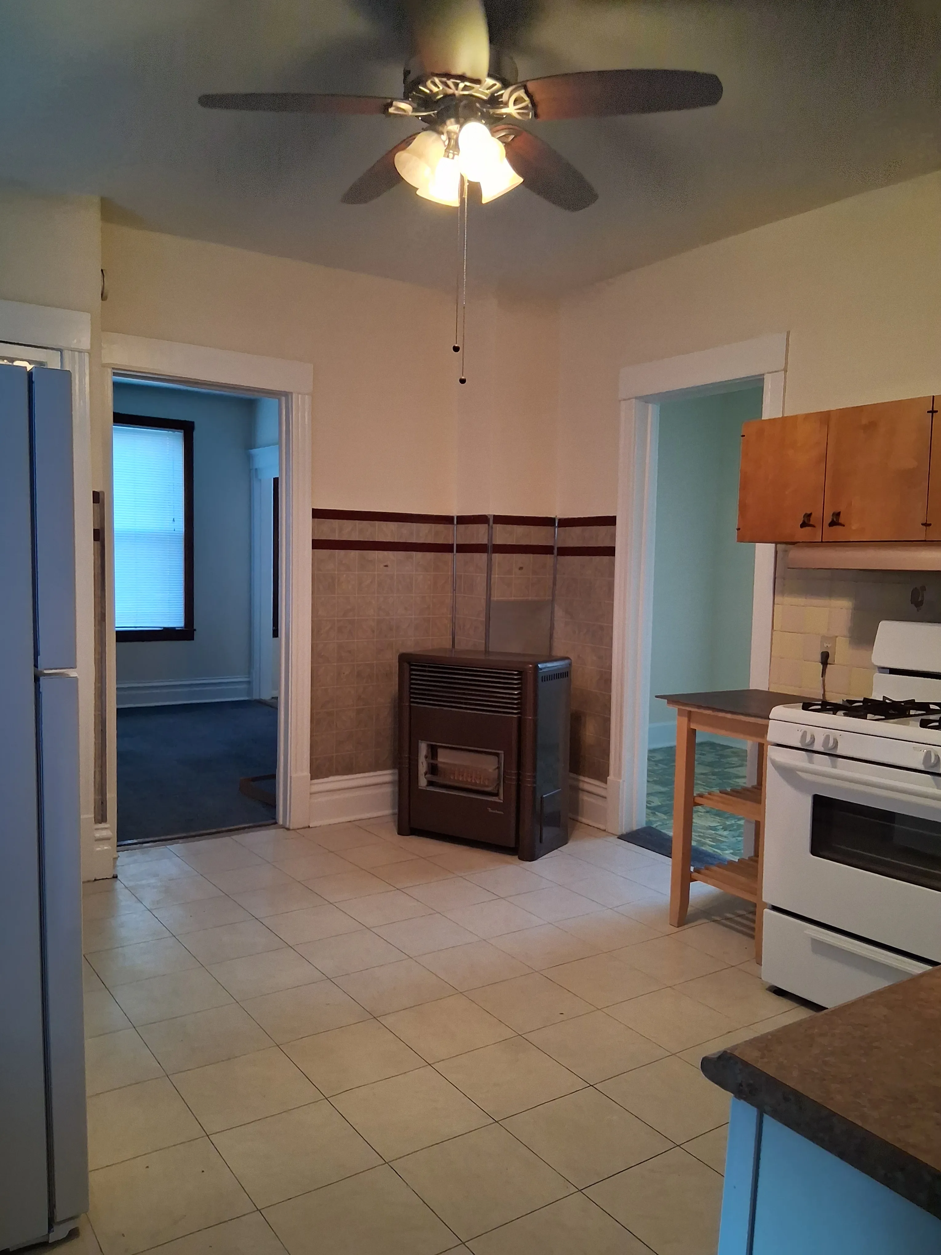 3619 W Wolfram St 60618 60618-Chicago-IL