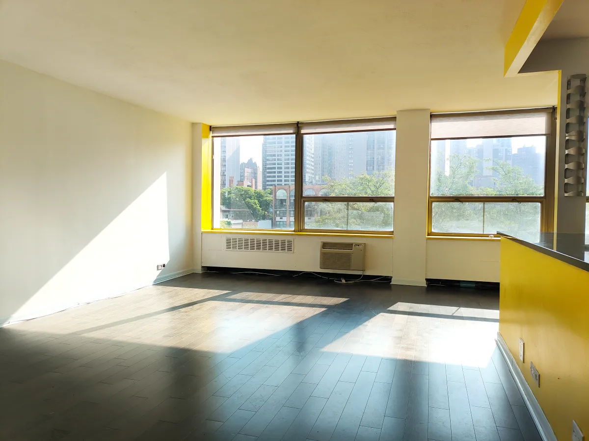 1455 N Sandburg Terrace   60610 60610-unit#404-Chicago-IL