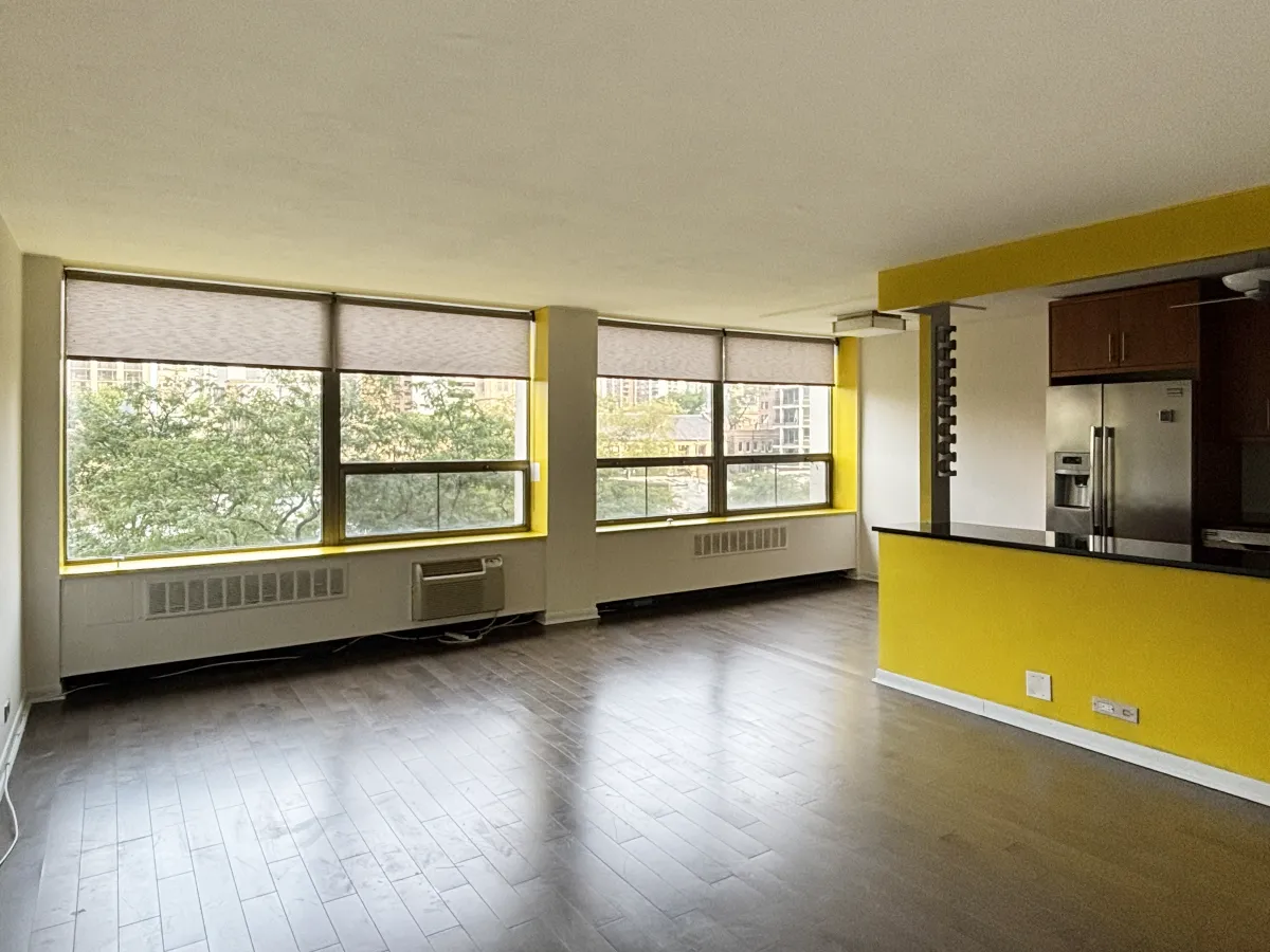 1455 N Sandburg Terrace   60610 60610-unit#404-Chicago-IL