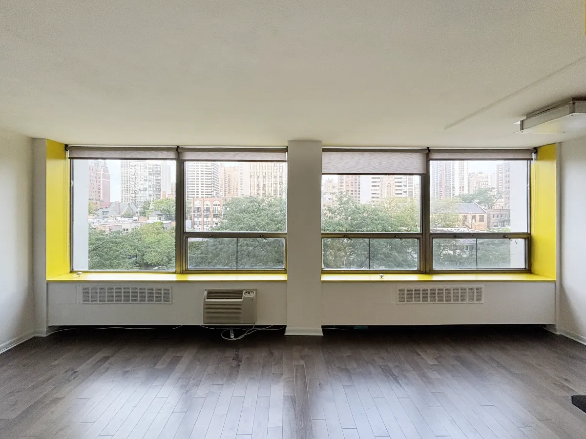 1455 N Sandburg Terrace   60610 60610-unit#404-Chicago-IL