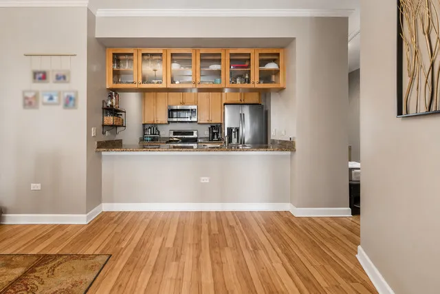 1335 S Prairie Ave 60605 60605-unit#1409-Chicago-IL