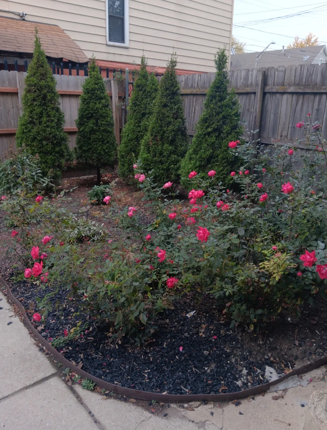 1654 N TALMAN AVE 60647-unit#1-Chicago-IL