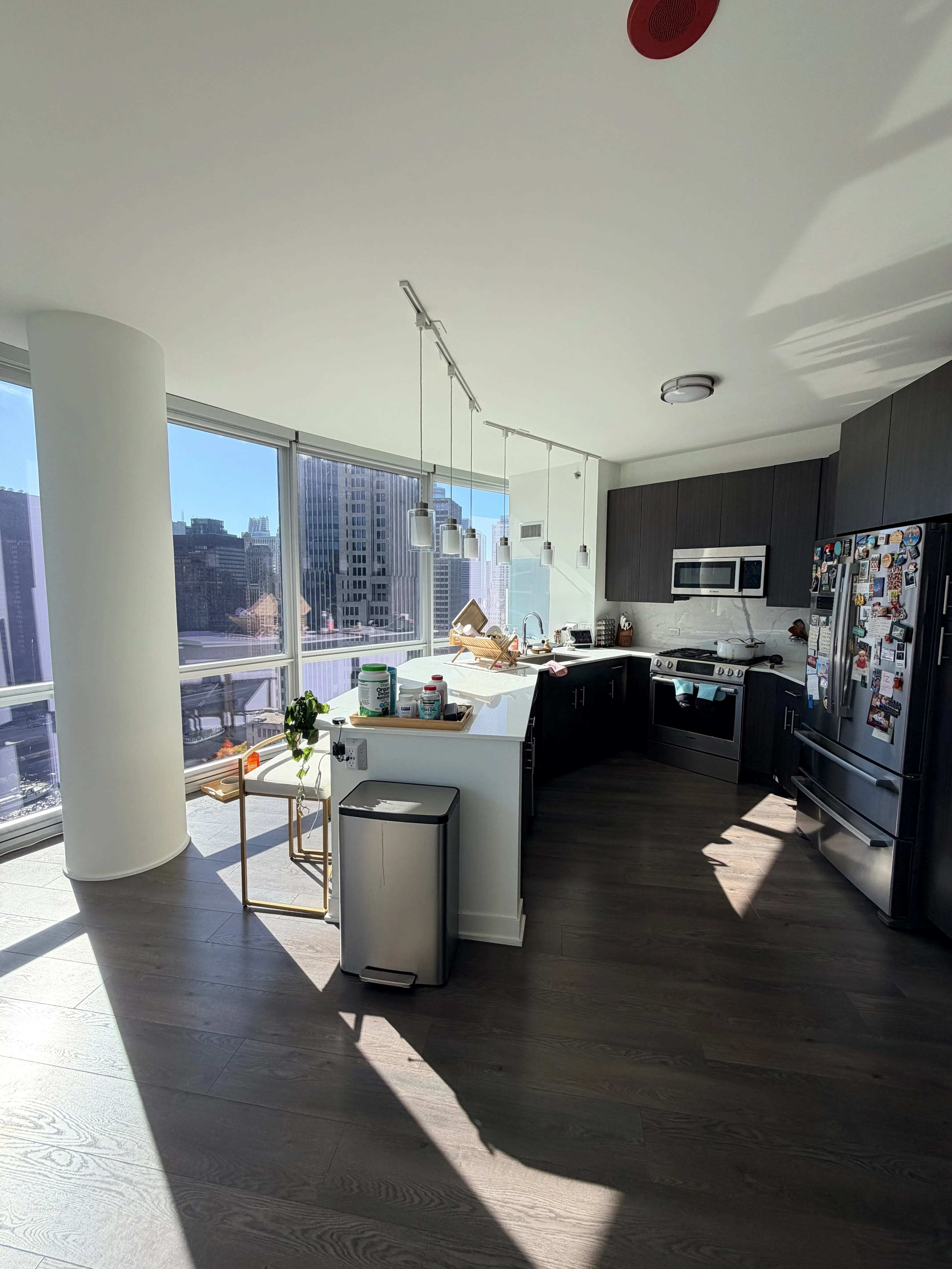 465 N Park Dr   60611 60611-465 North Park-unit#3008-Chicago-IL