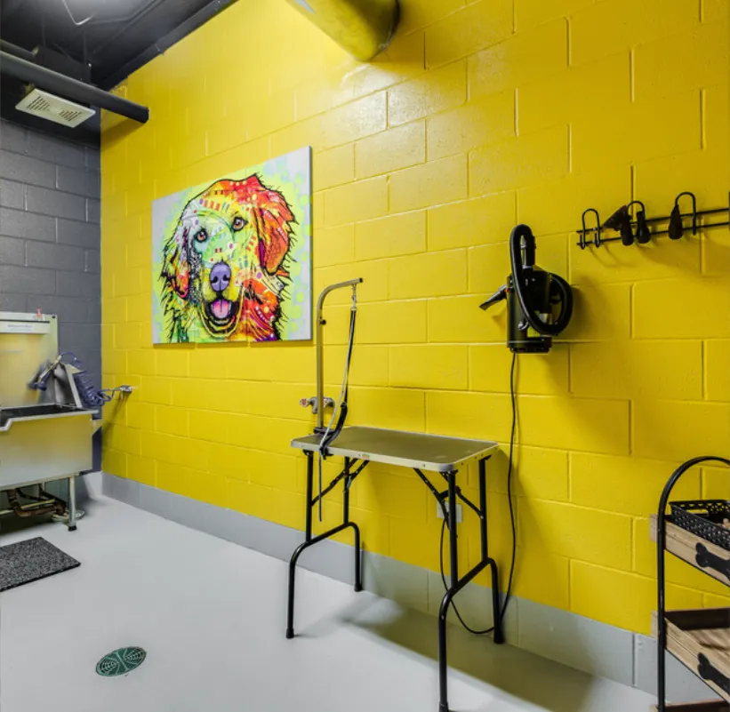 3400 W Stonegate Blvd   60005 60005-One Arlington-unit#1004-Arlington Heights-IL