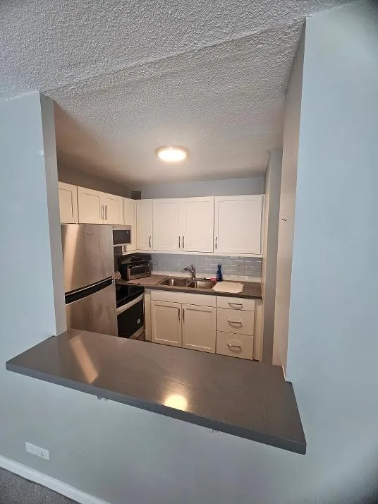 2728 N Hampden Ct 60614 60614-Chicago-IL