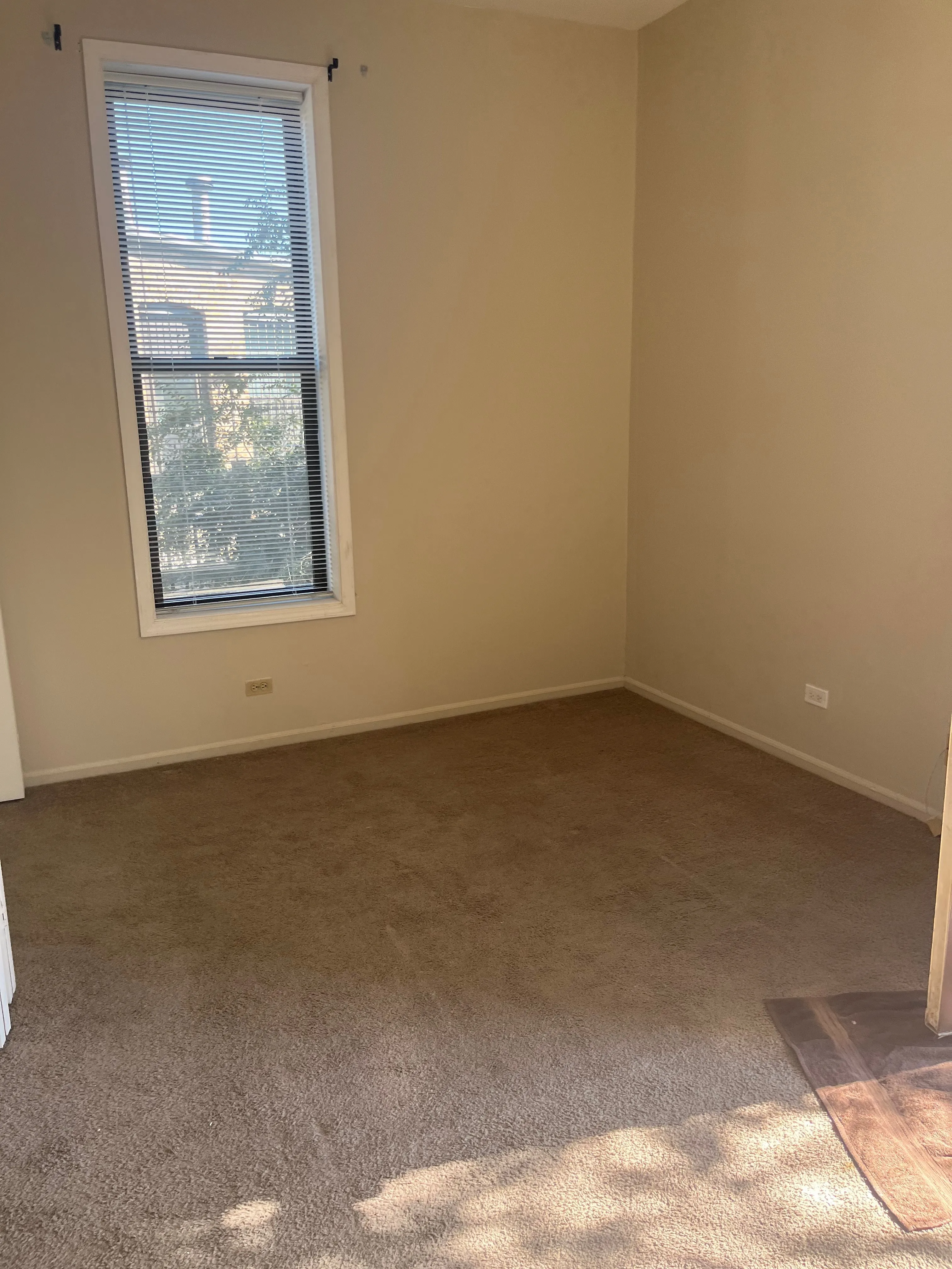 841 W Belmont Ave   60657 60657-Belmont Court-unit#A6-Chicago-IL