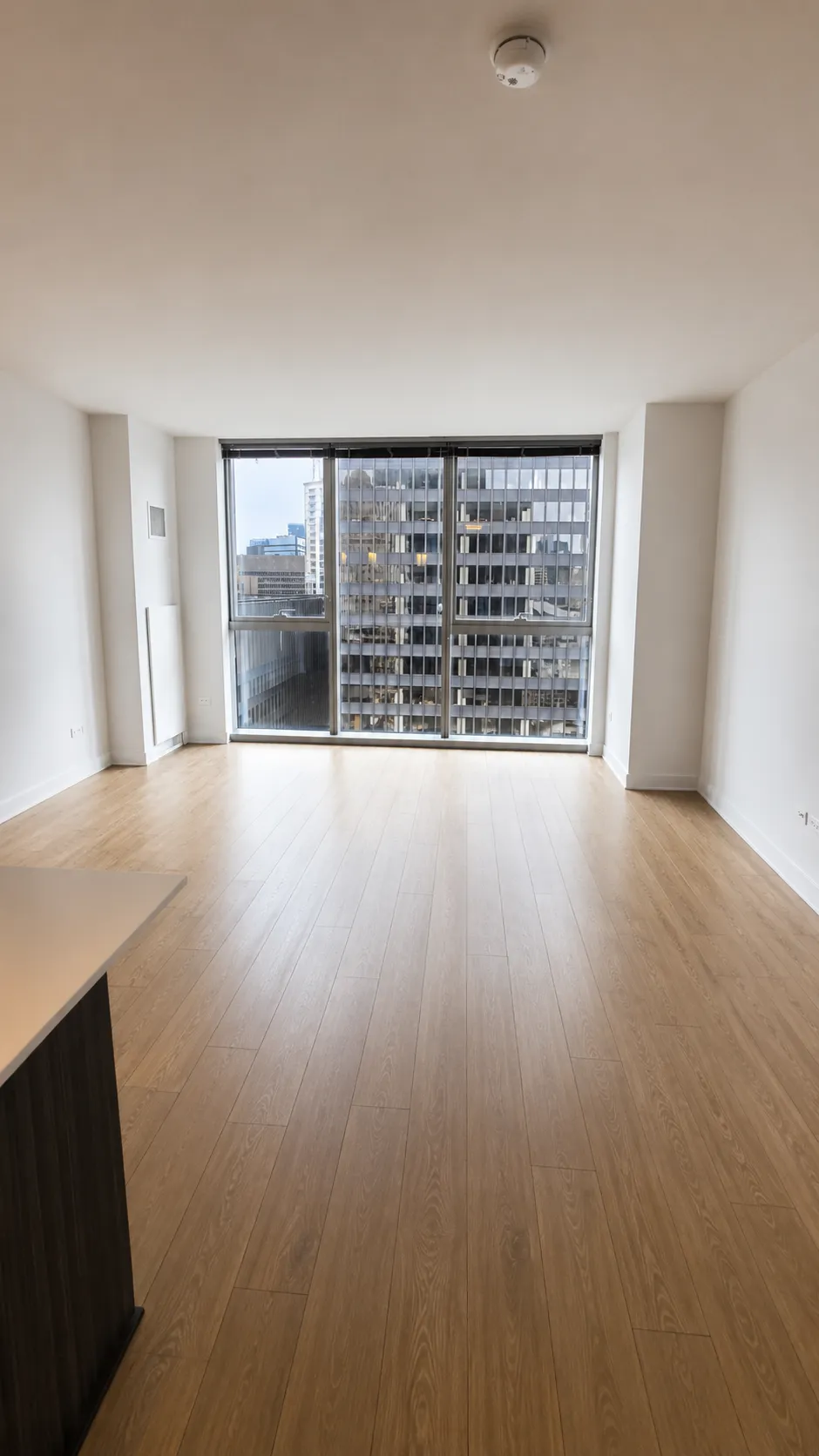 201 N Garland Ct 60601 60601-unit#910-Chicago-IL