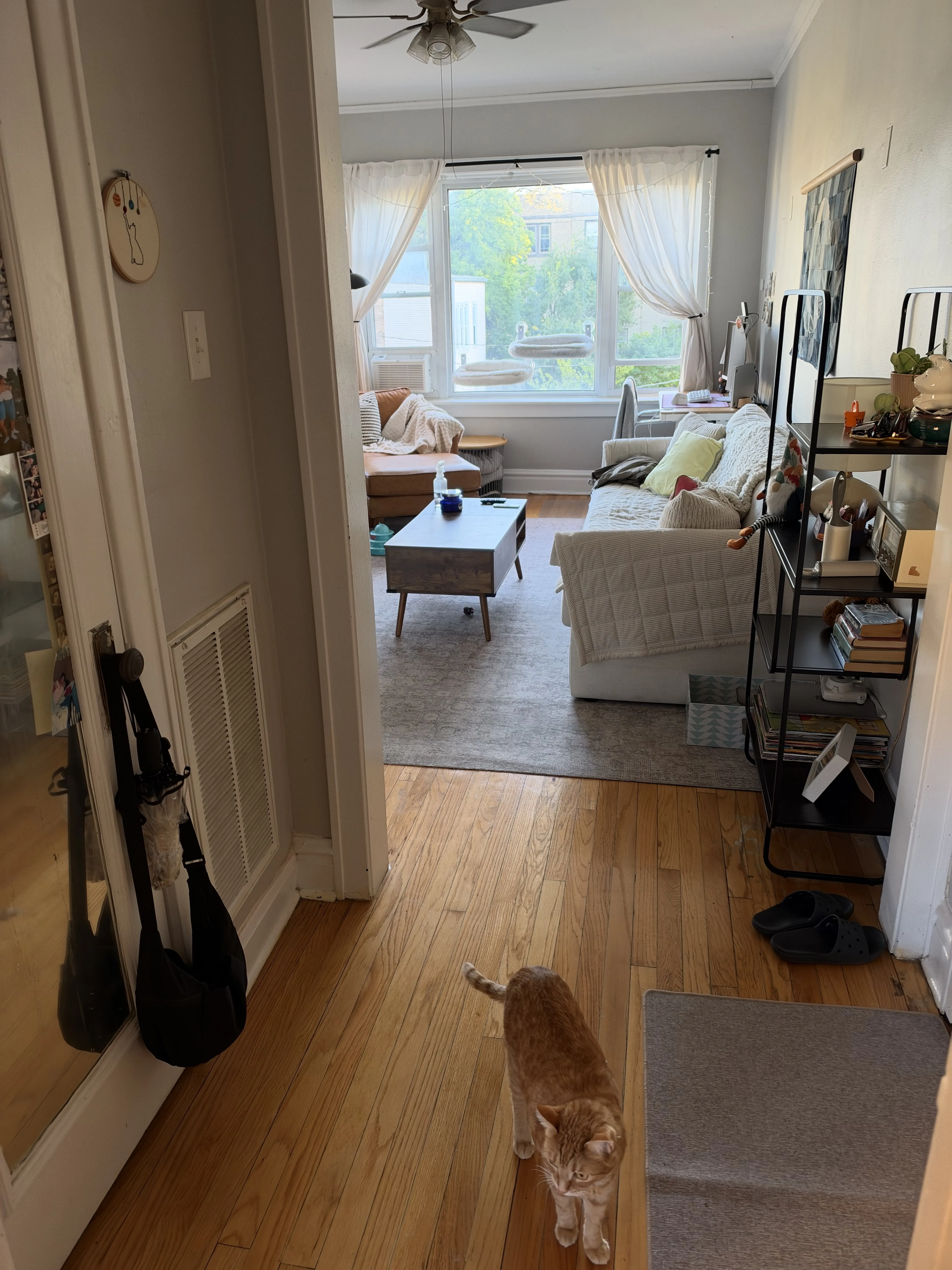 2910 N Albany Ave 60618 60618-unit#2E-Chicago-IL