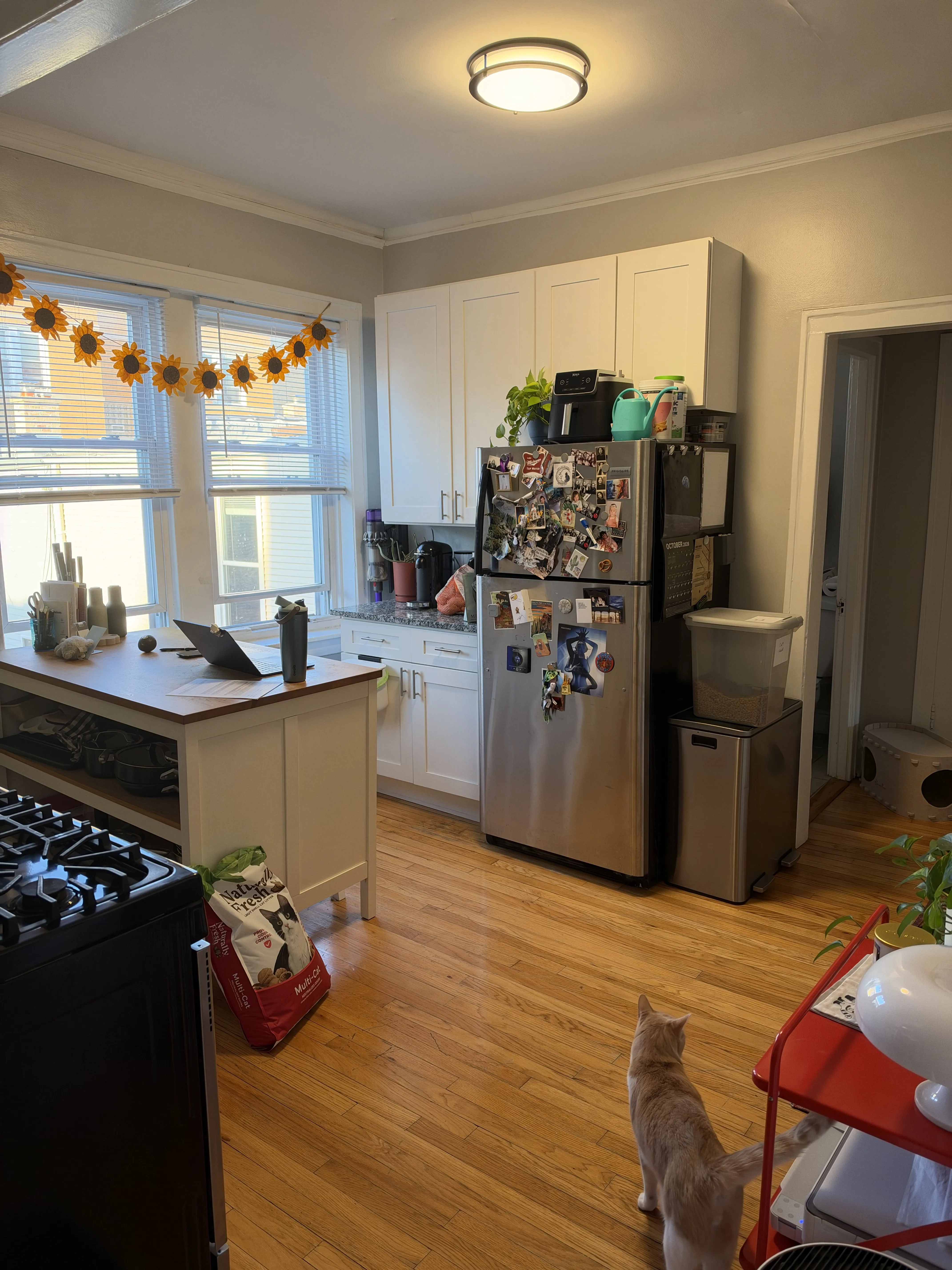 2910 N Albany Ave 60618 60618-unit#2E-Chicago-IL