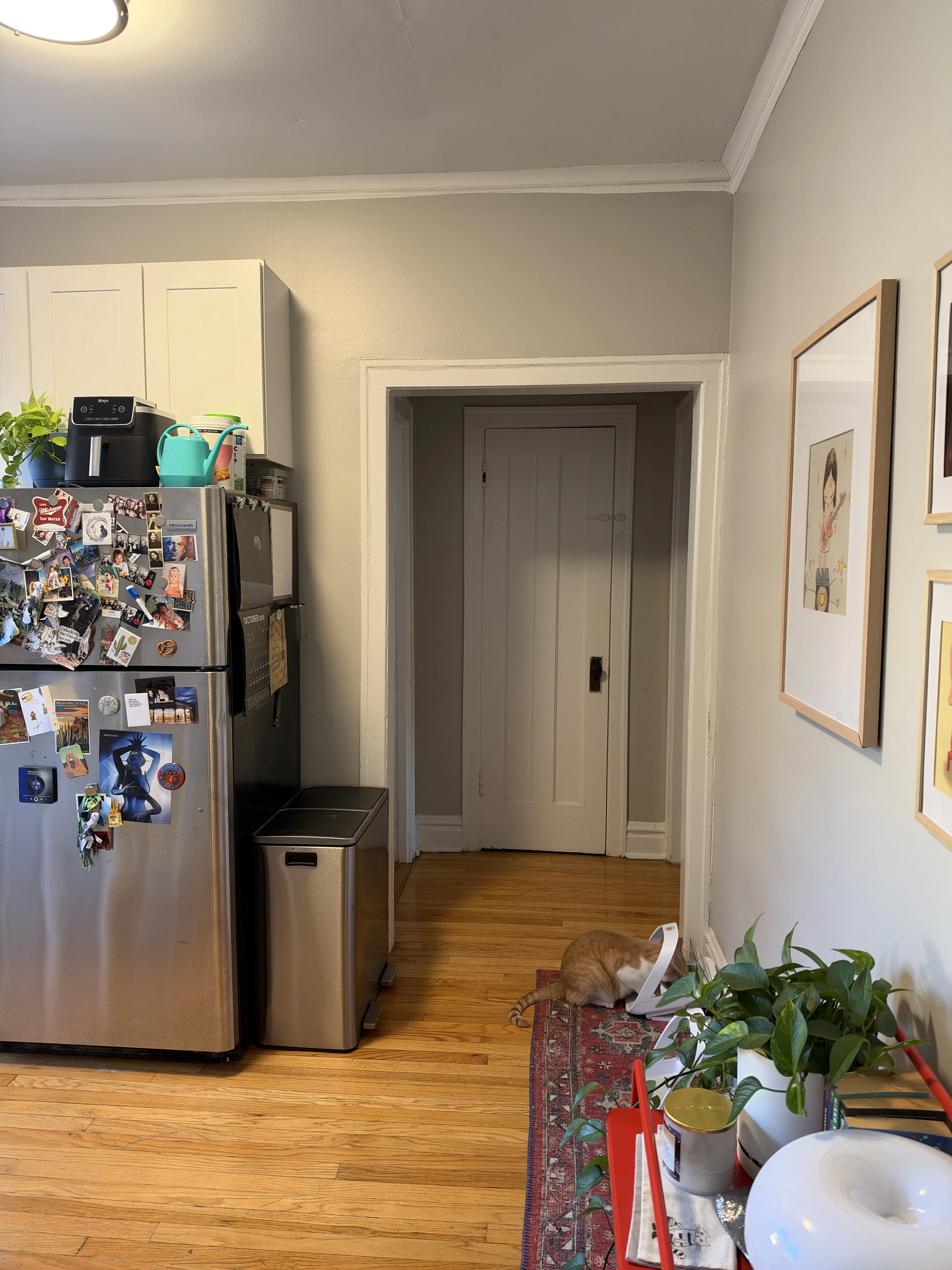 2910 N Albany Ave 60618 60618-unit#2E-Chicago-IL