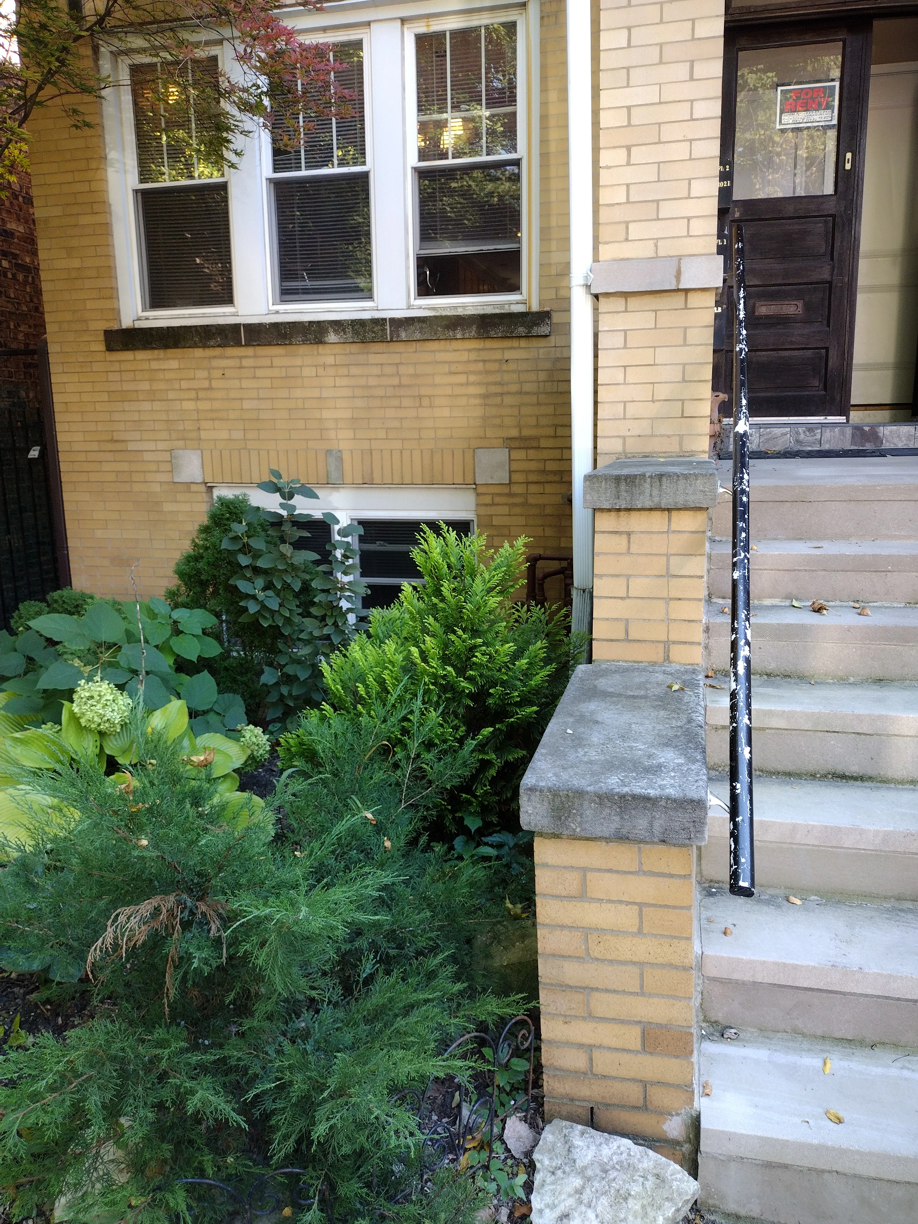 2021 W Thomas St 60622 60622-unit#1-Chicago-IL