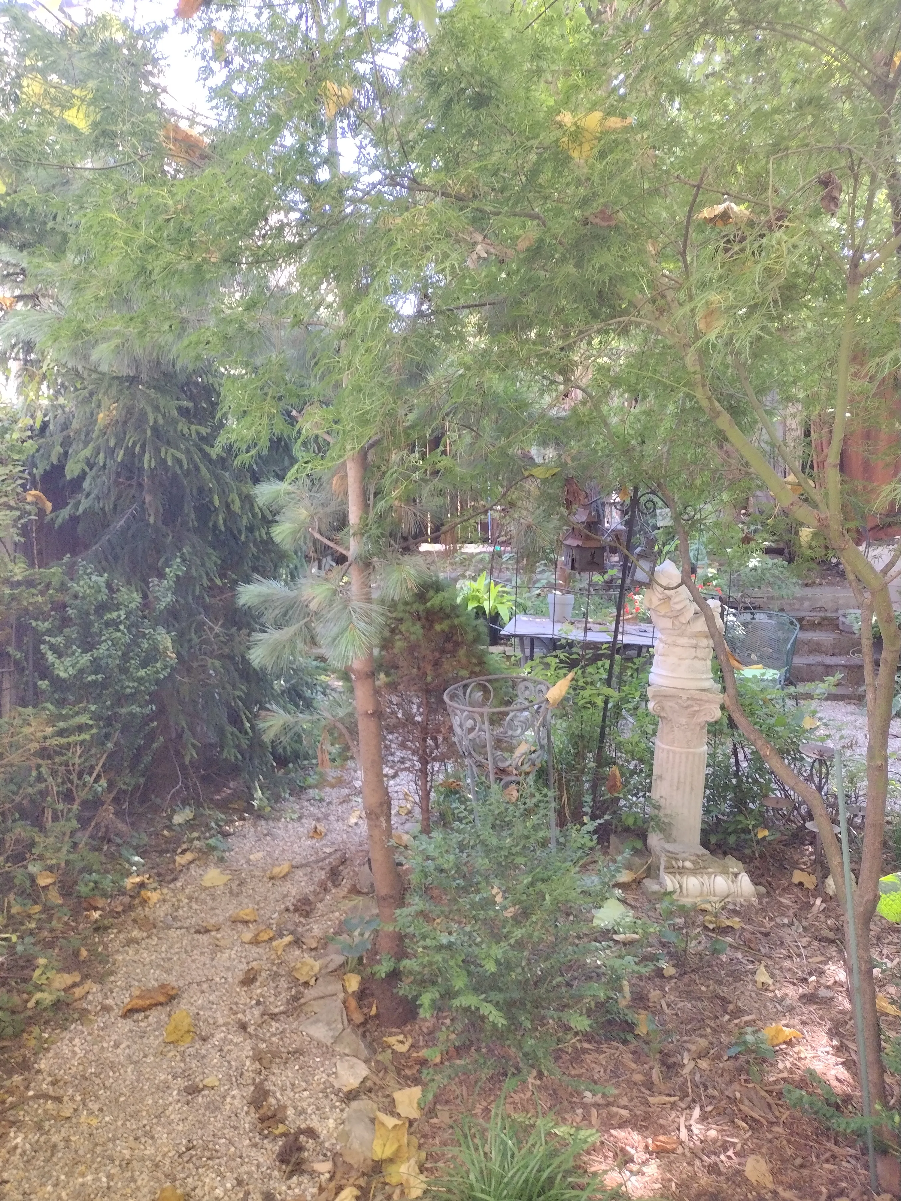 2021 W Thomas St   60622 60622-unit#1-Chicago-IL