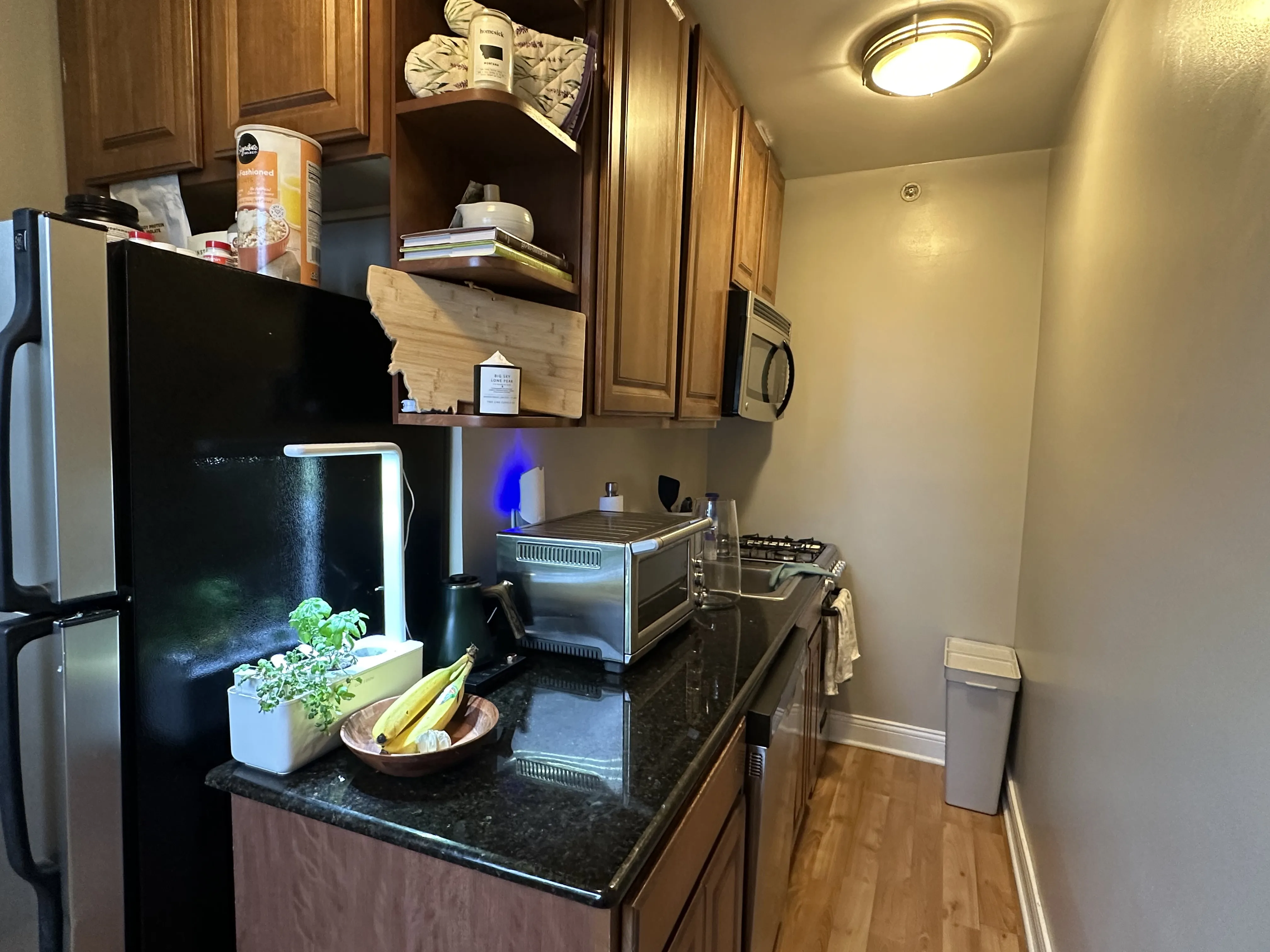 211 E Delaware Pl   60611 60611-unit#1705-Chicago-IL