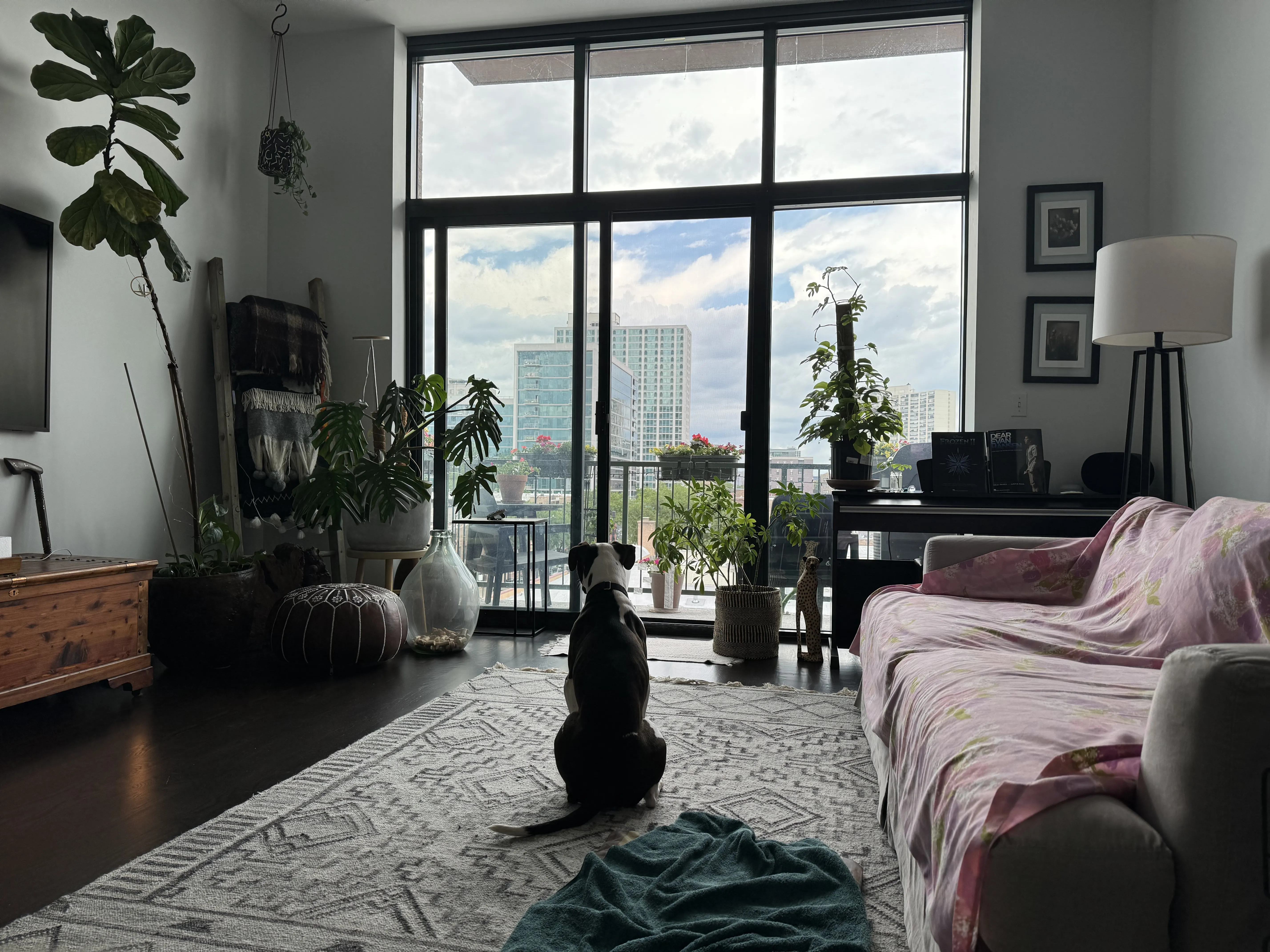 3631 N Halsted St 60613 60613-The Dakota-unit#402-Chicago-IL
