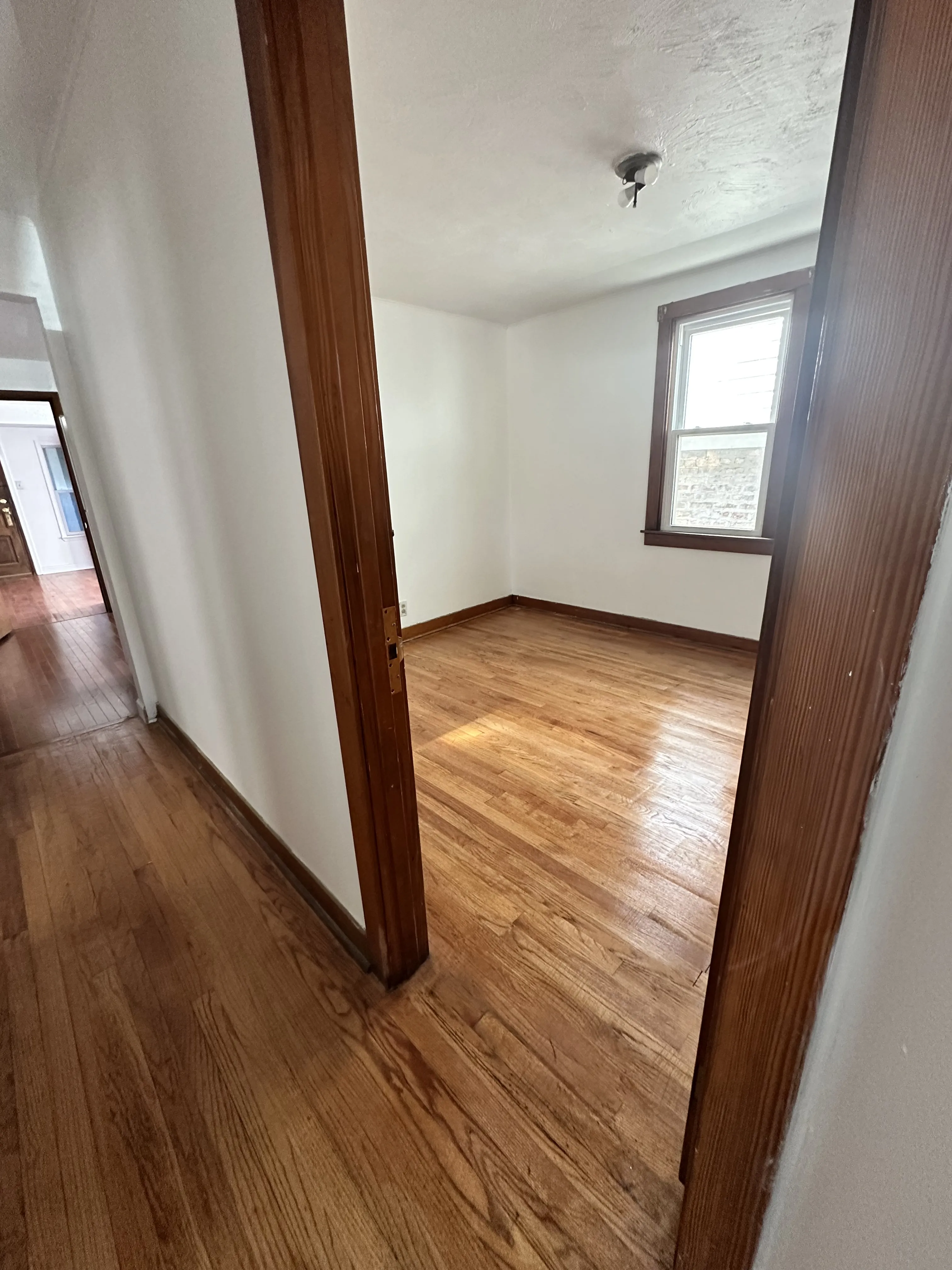 2317 W 23rd St 60608 60608-unit#2-Chicago-IL
