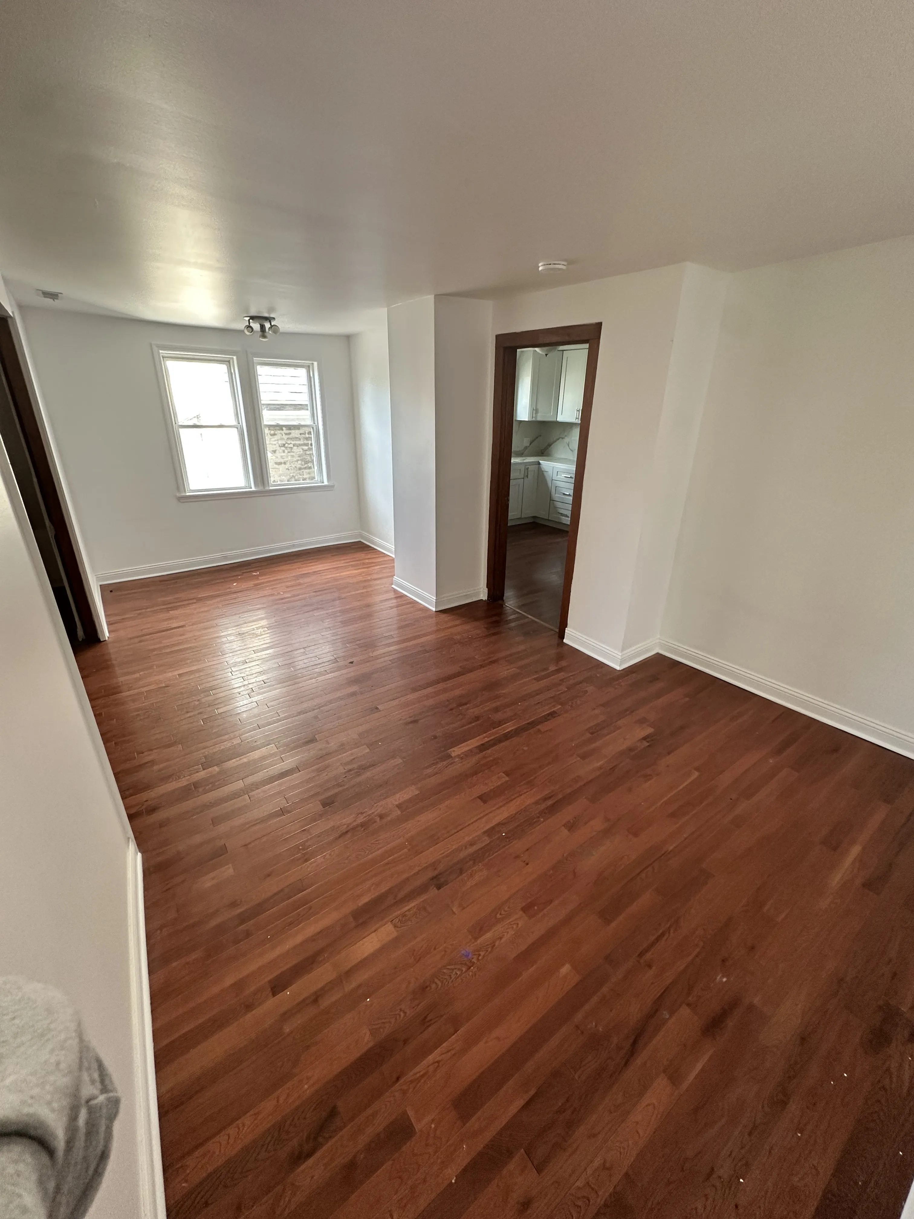 2317 W 23rd St 60608 60608-unit#2-Chicago-IL