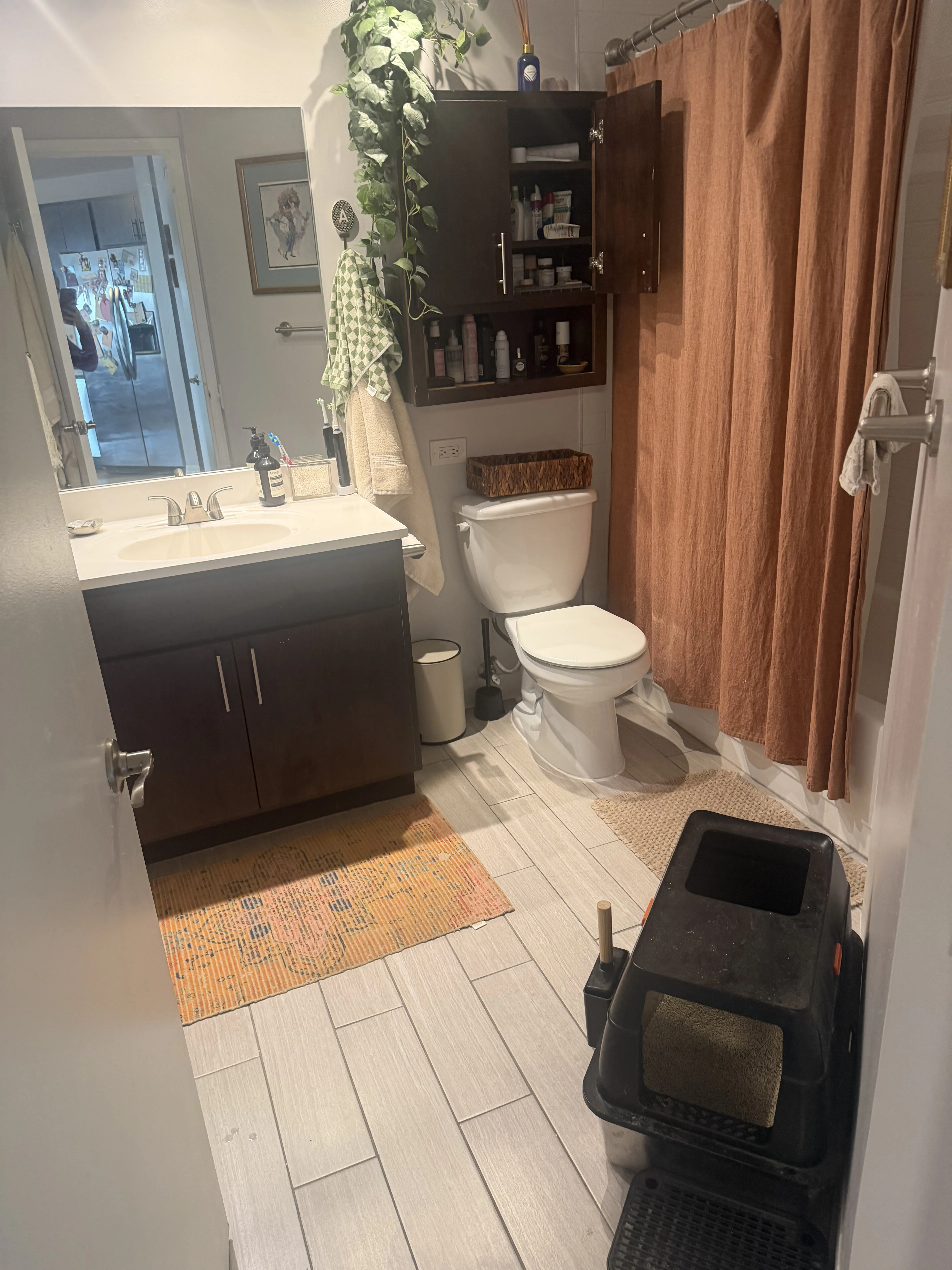 8 W Chestnut St 60610 60610-Chestnut place-unit#14-Chicago-IL
