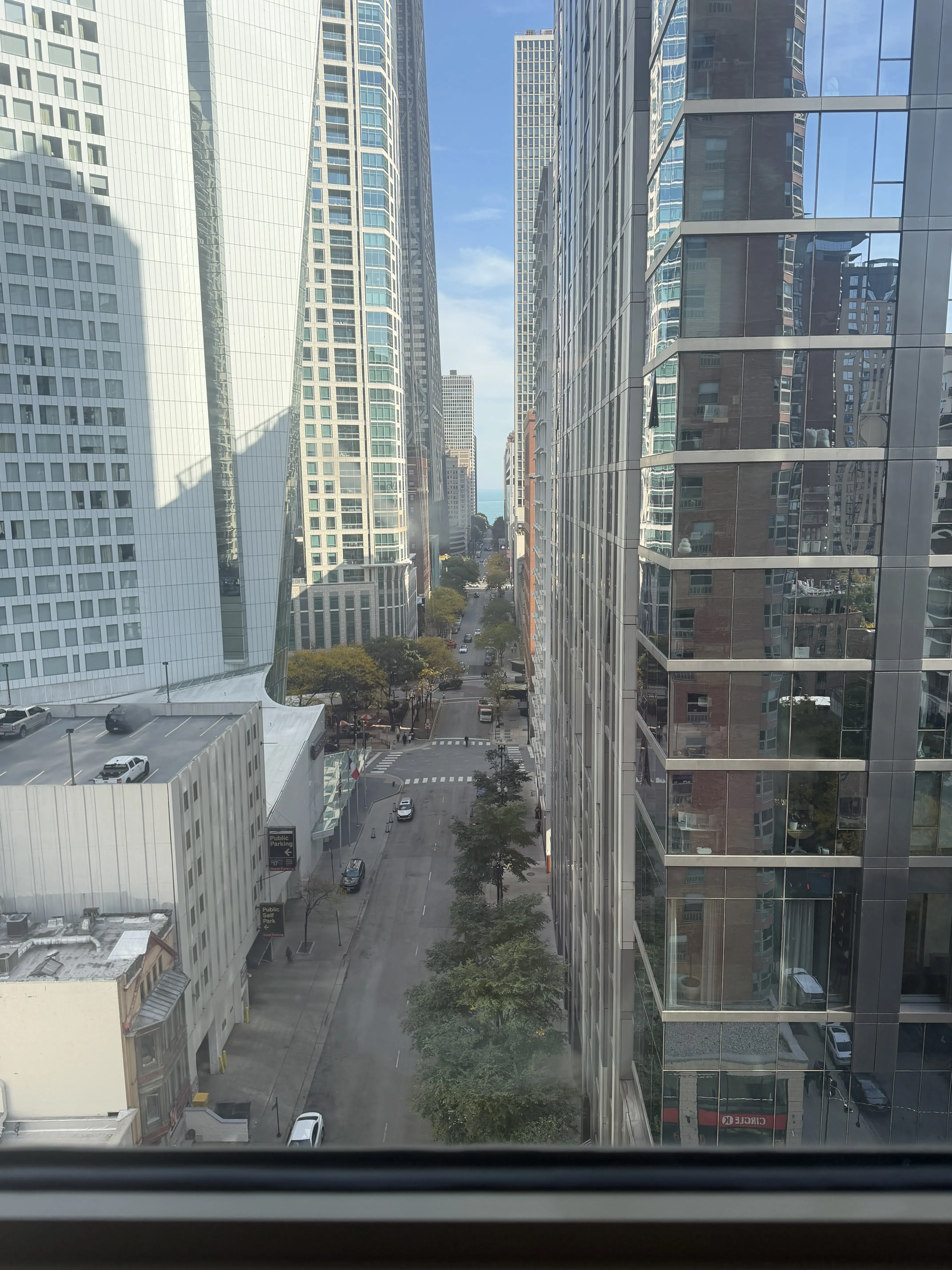 8 W Chestnut St 60610 60610-Chestnut place-unit#14-Chicago-IL