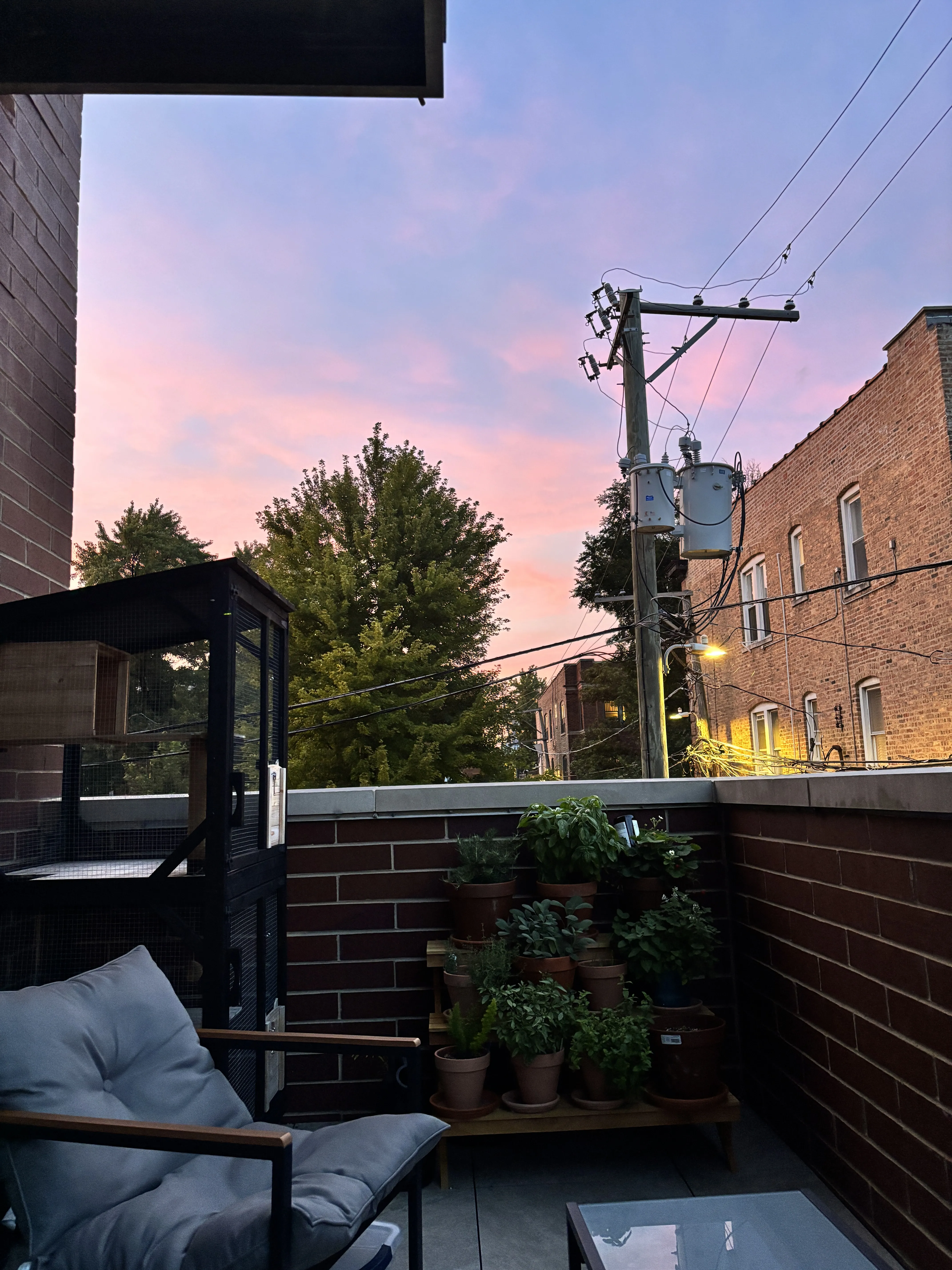 3647 N Southport Ave   60613 60613-Chicago-IL