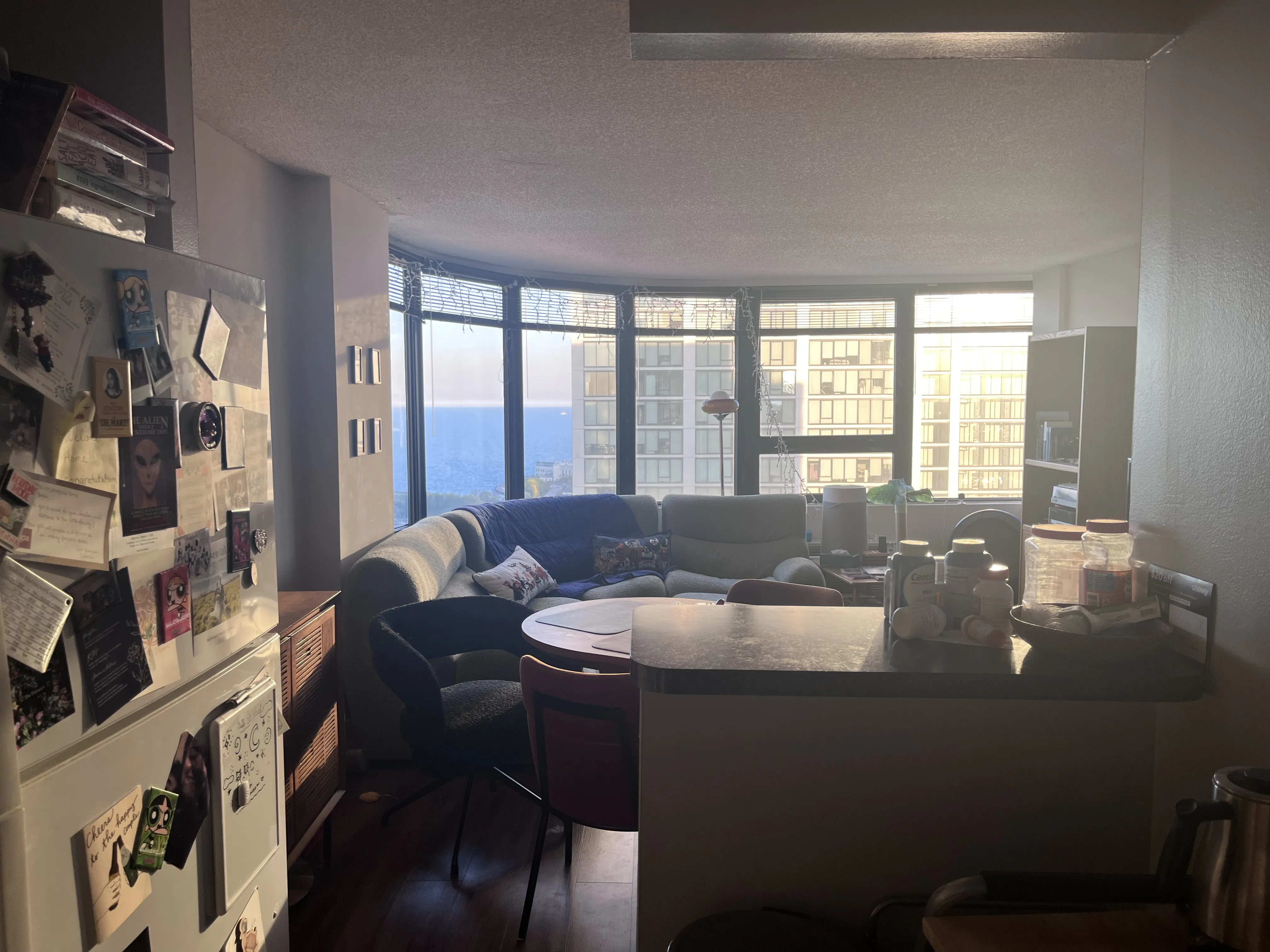 1212 S Michigan Ave 60605 60605-Park Michigan-unit#2602-Chicago-IL